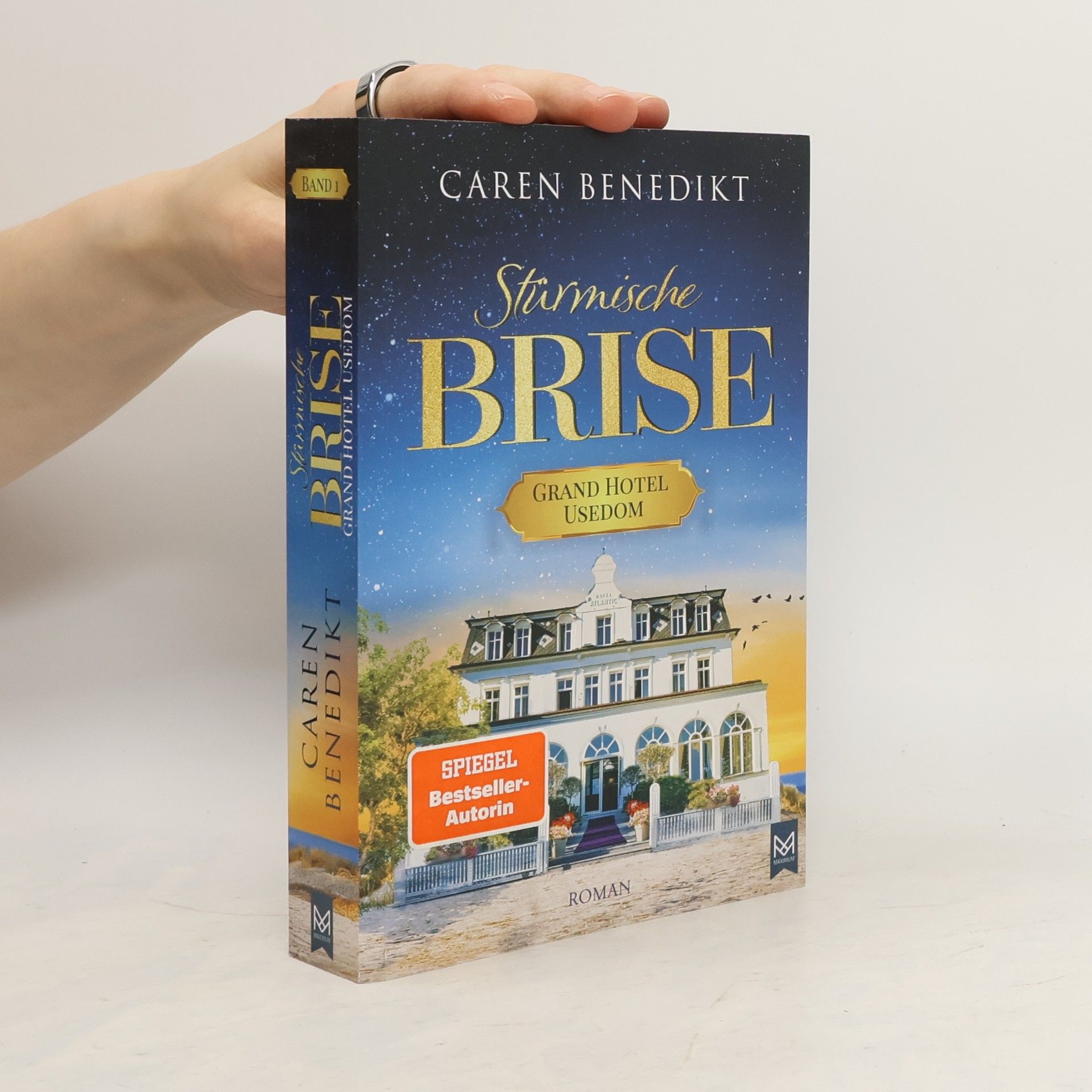 Caren Benedikt Stürmische Brise