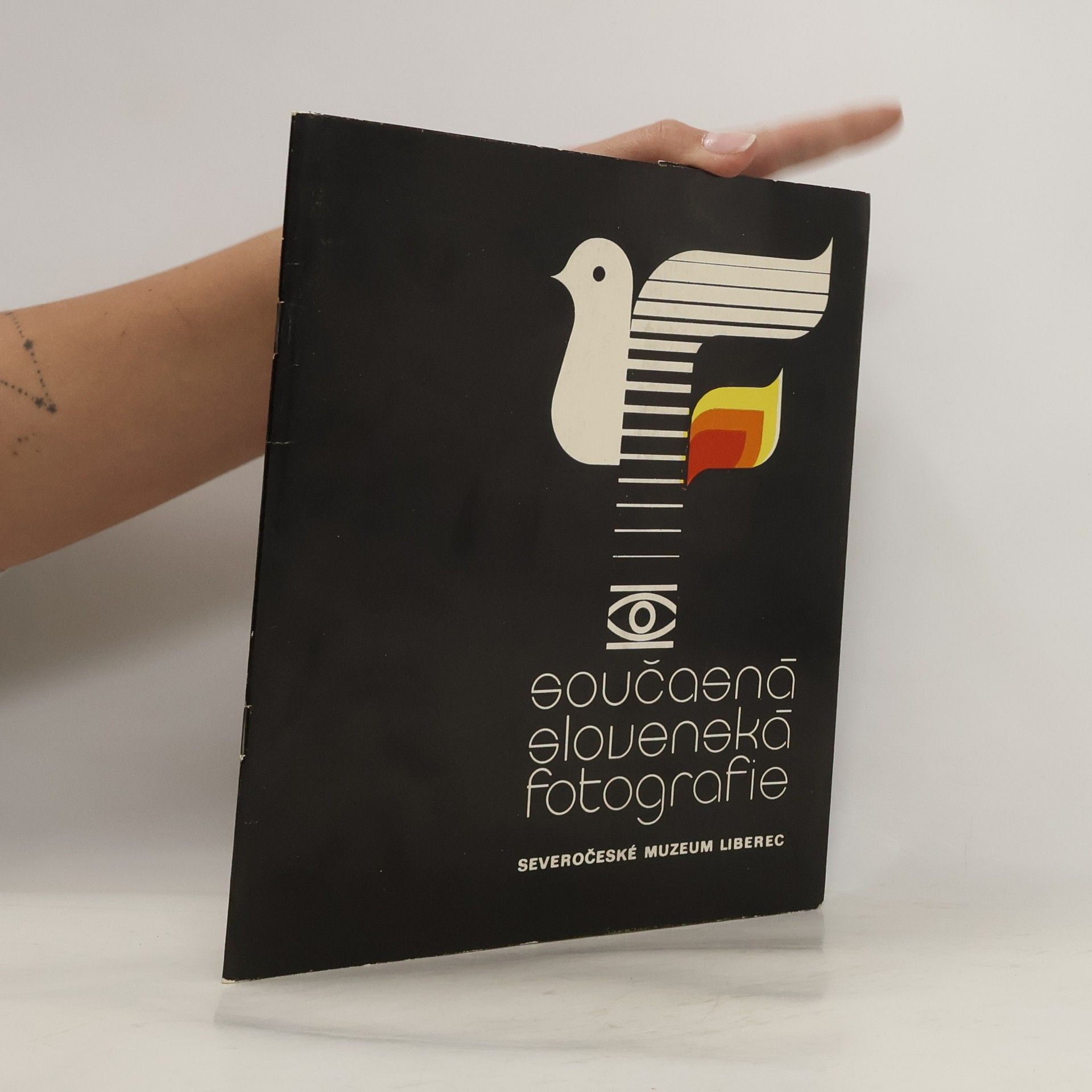 Collective Současná slovenská fotografie