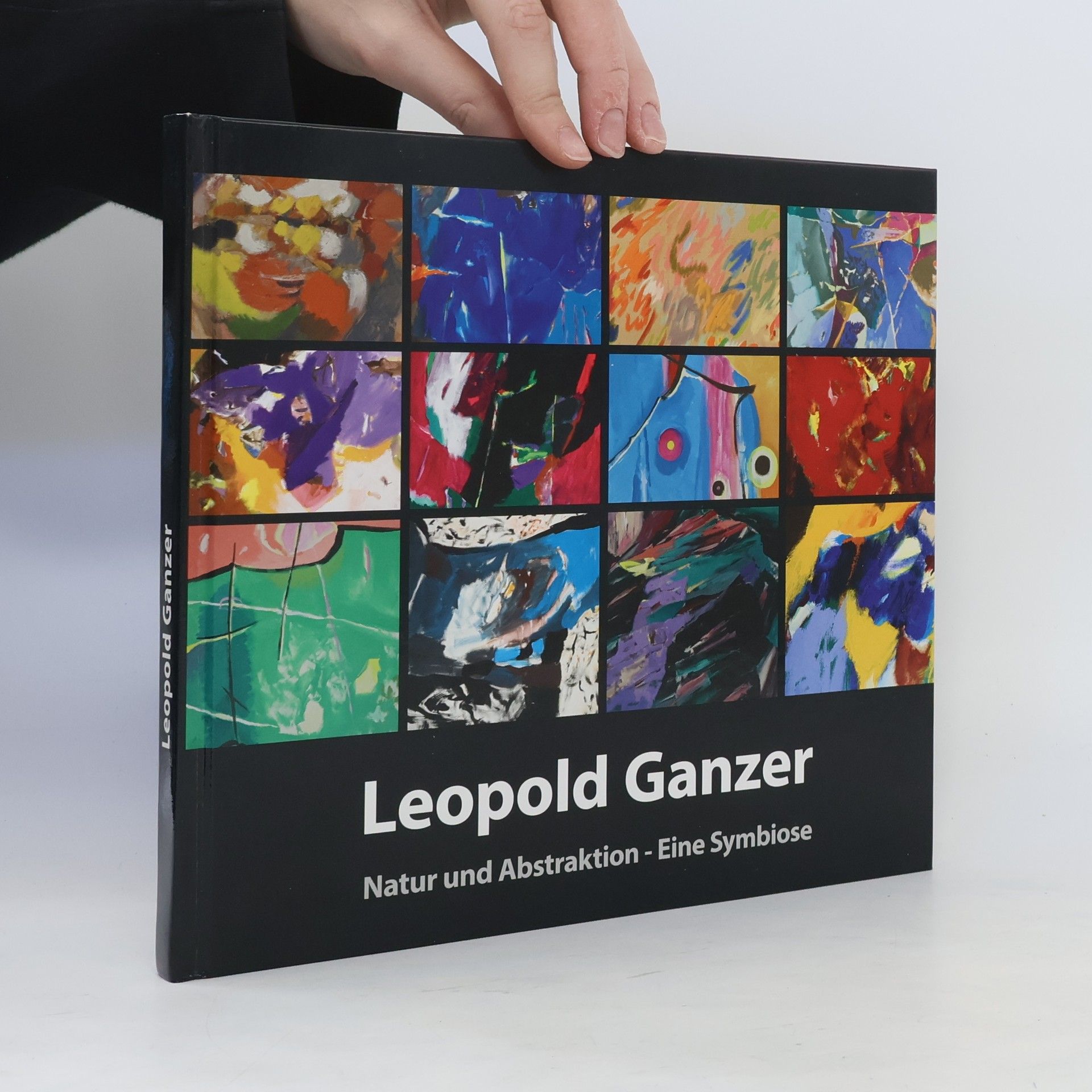 Autorenkollektiv Leopold Ganzer Natur und Abstraktion - Eine Symbiose