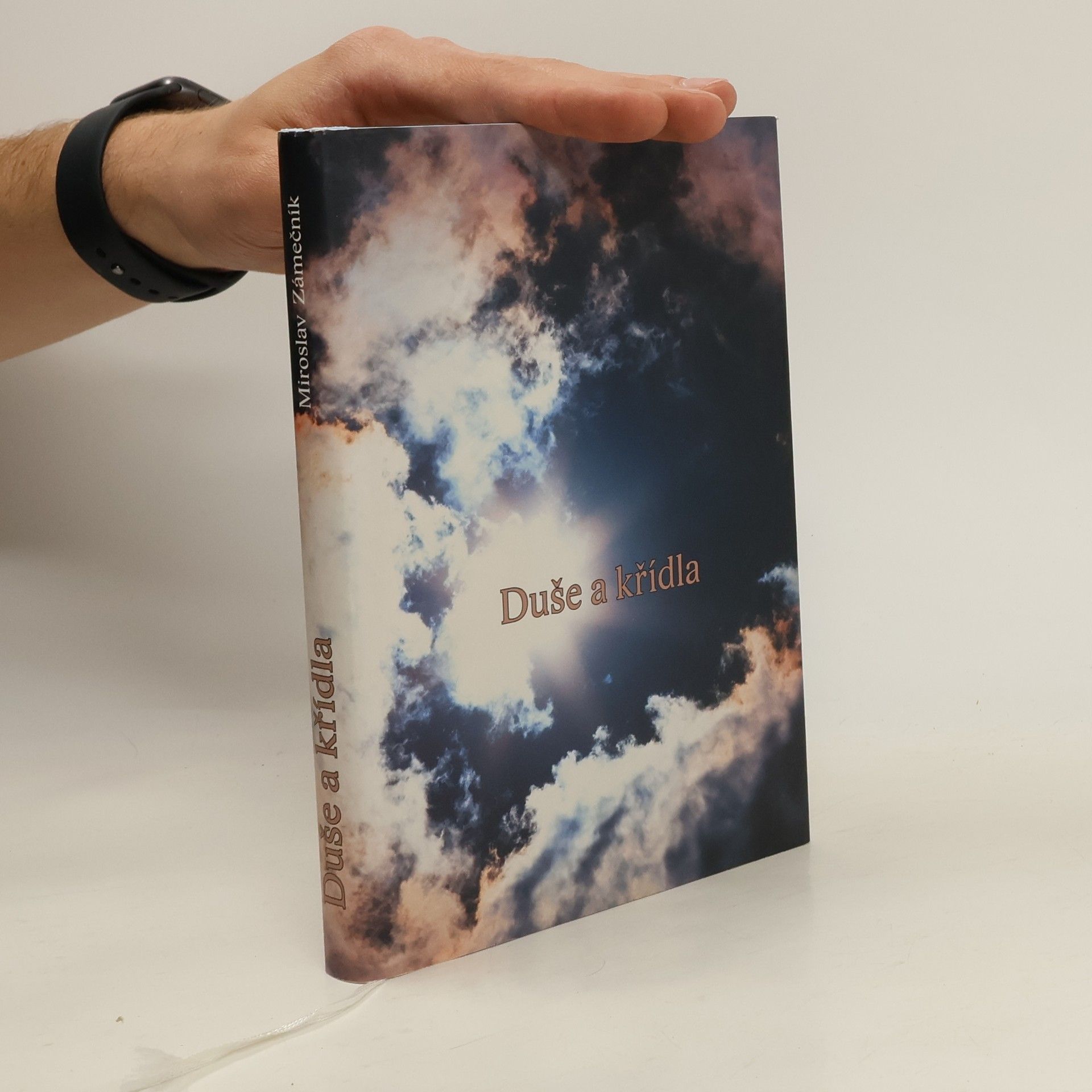 Miroslav Zámečník Duše a křídla