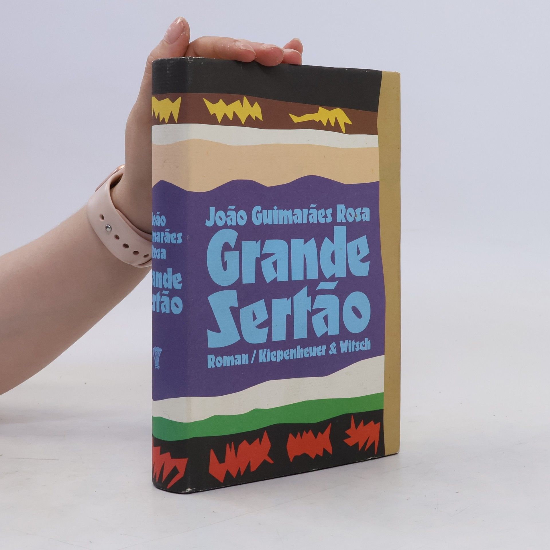 Guimarães Rosa Grande Sertão