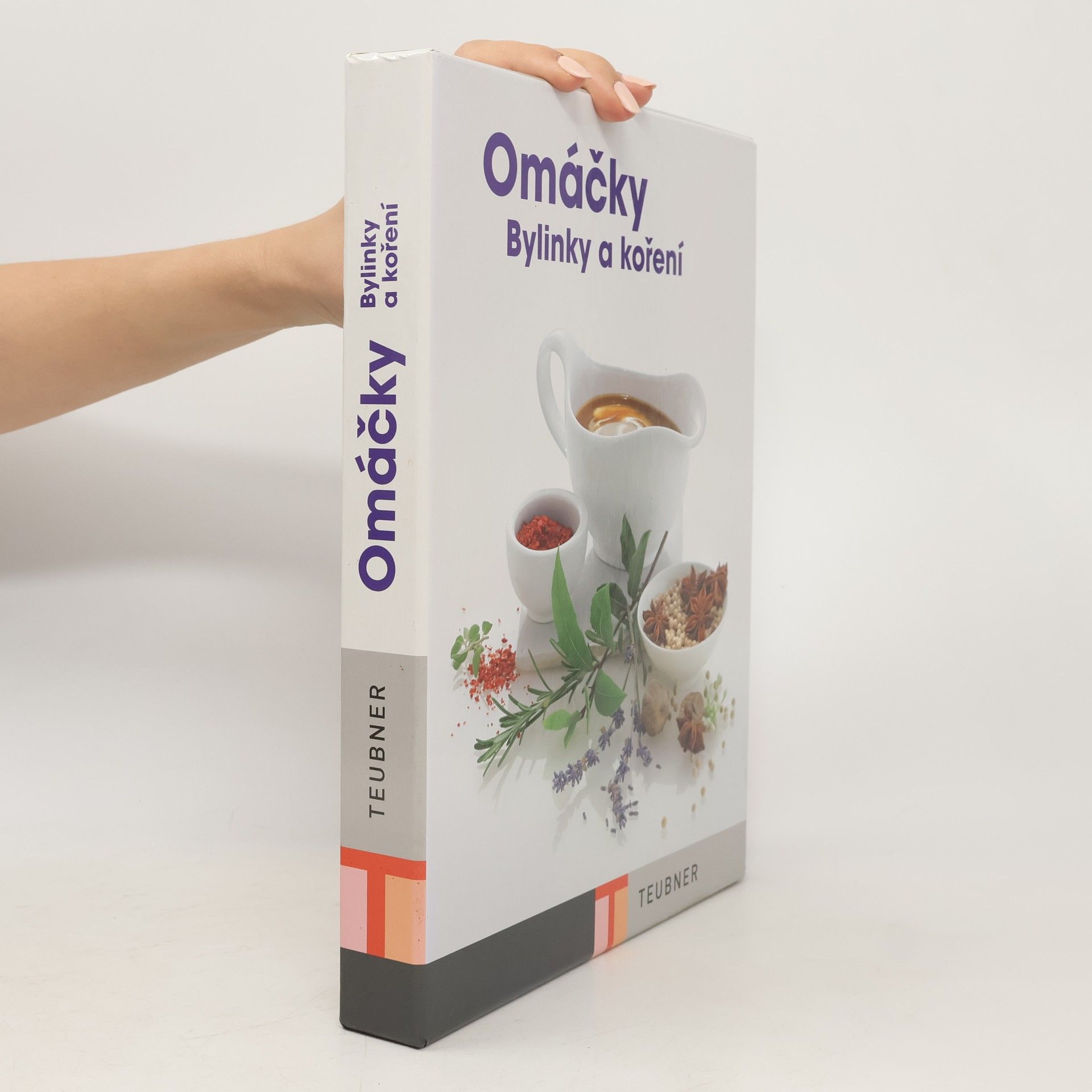 Kolektiv autorů Omáčky. Bylinky a koření