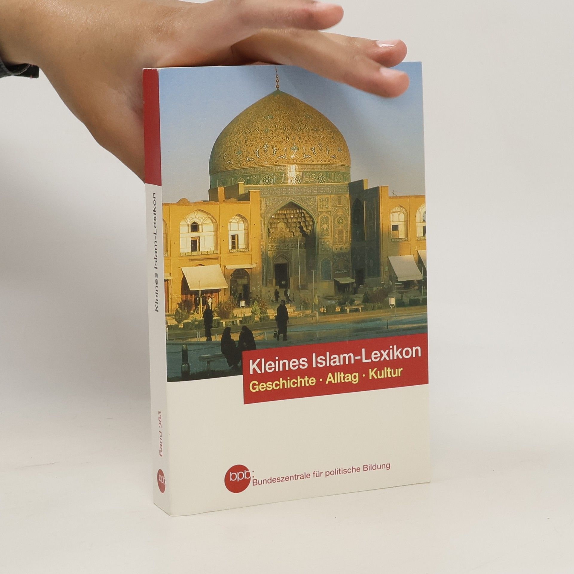 Ralf Elger Kleines Islam-Lexikon