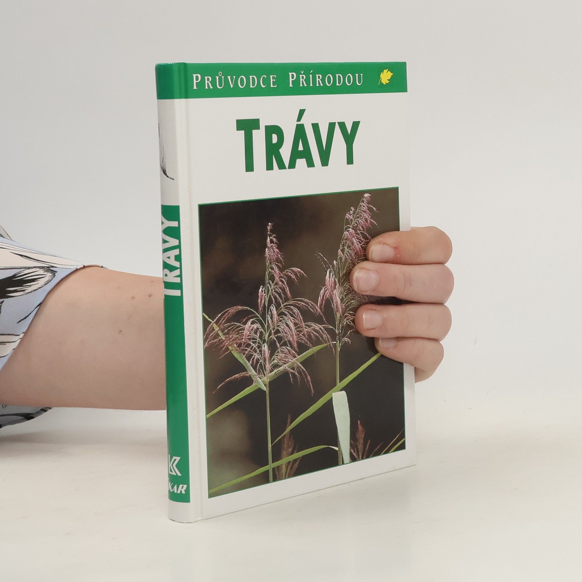 Jürke Grau Trávy: lipnicovité, šáchorovité, sítinovité a rostliny podobné travám Evropy