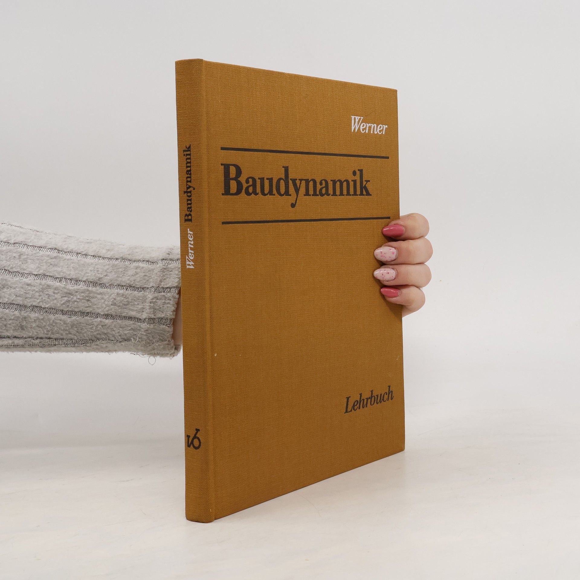 Diethelm Werner Baudynamik