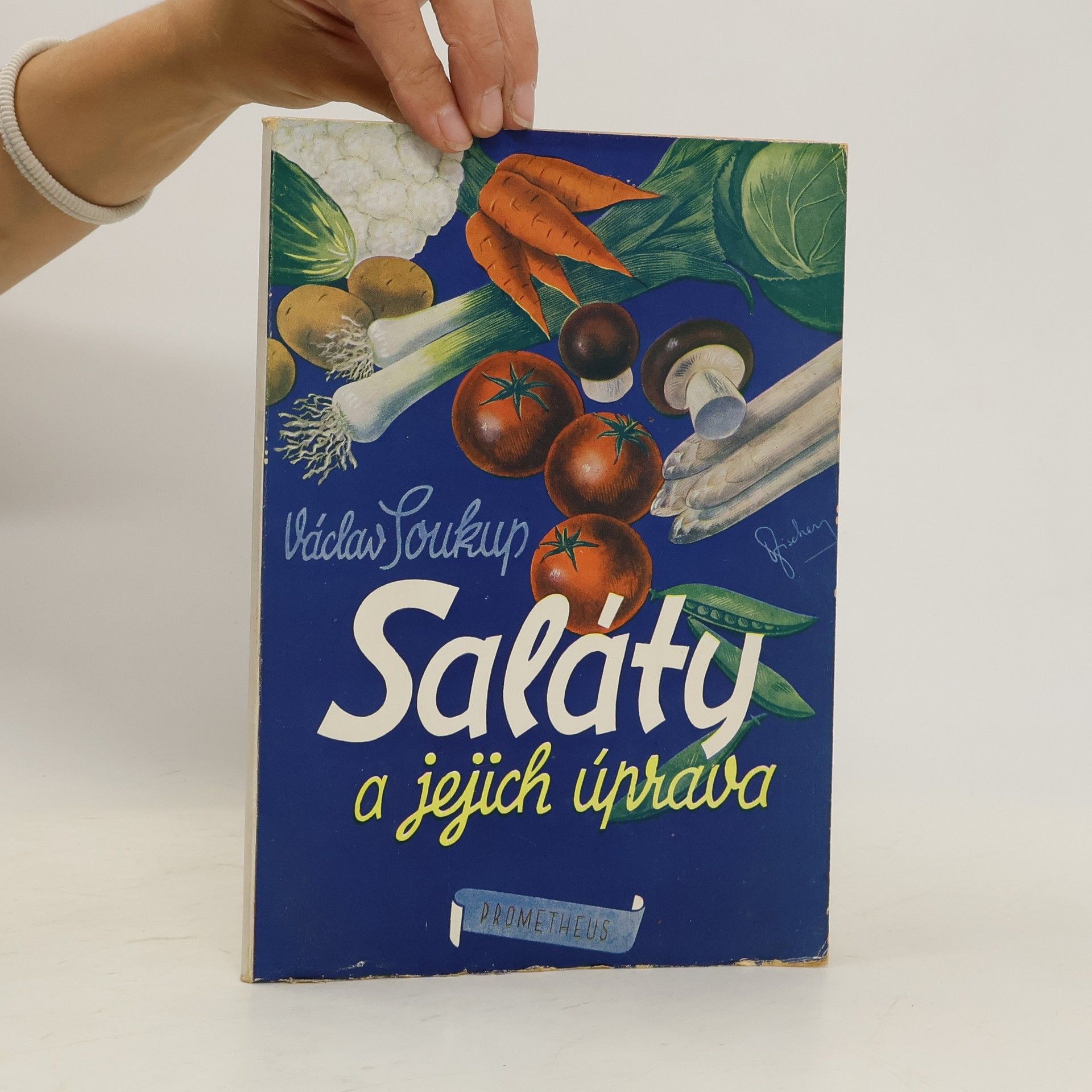 Václav Soukup Saláty a jejich úprava
