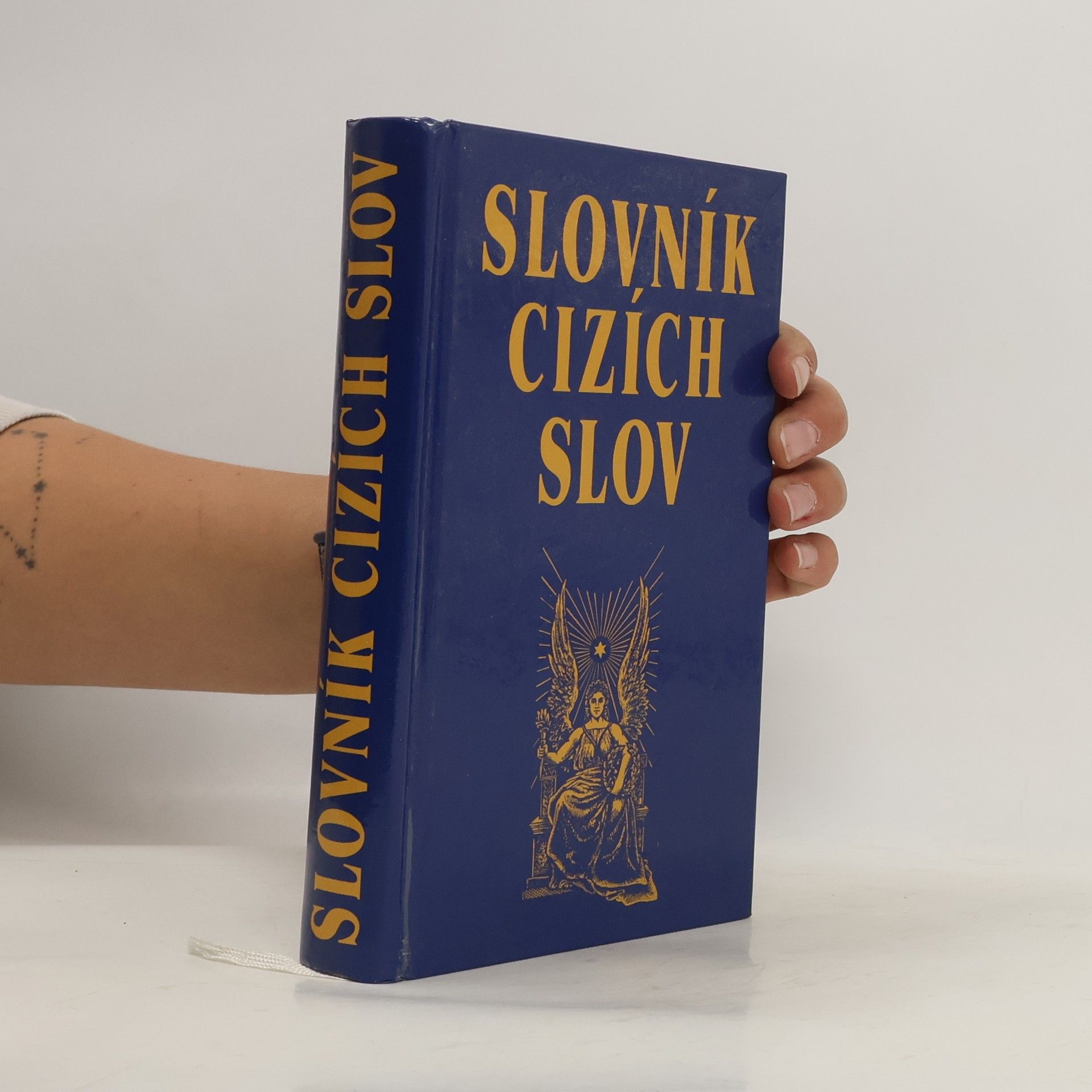 kolektiv Slovník cizích slov