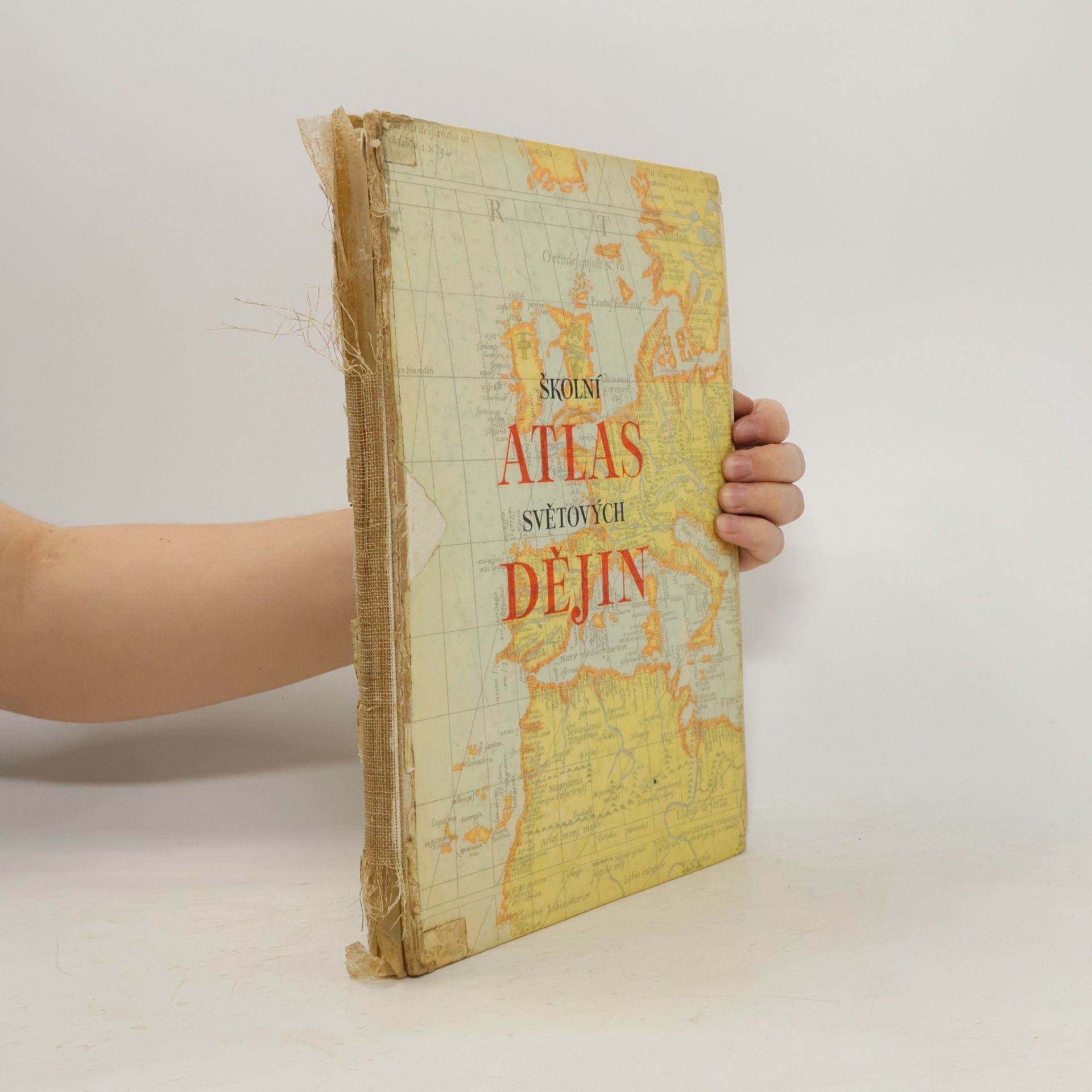 Collective Školní atlas světových dějin