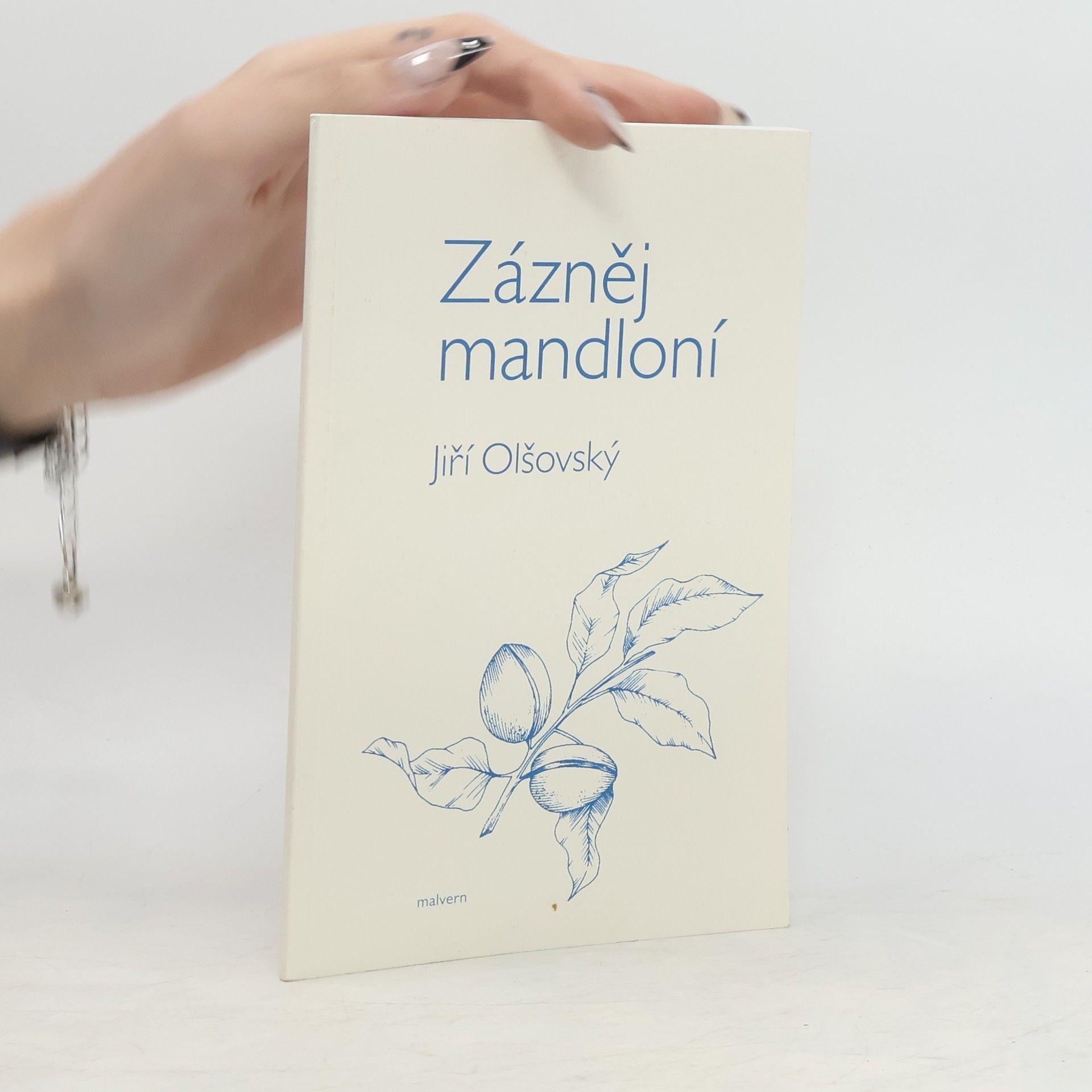 Jiří Olšovský Zázněj mandloní