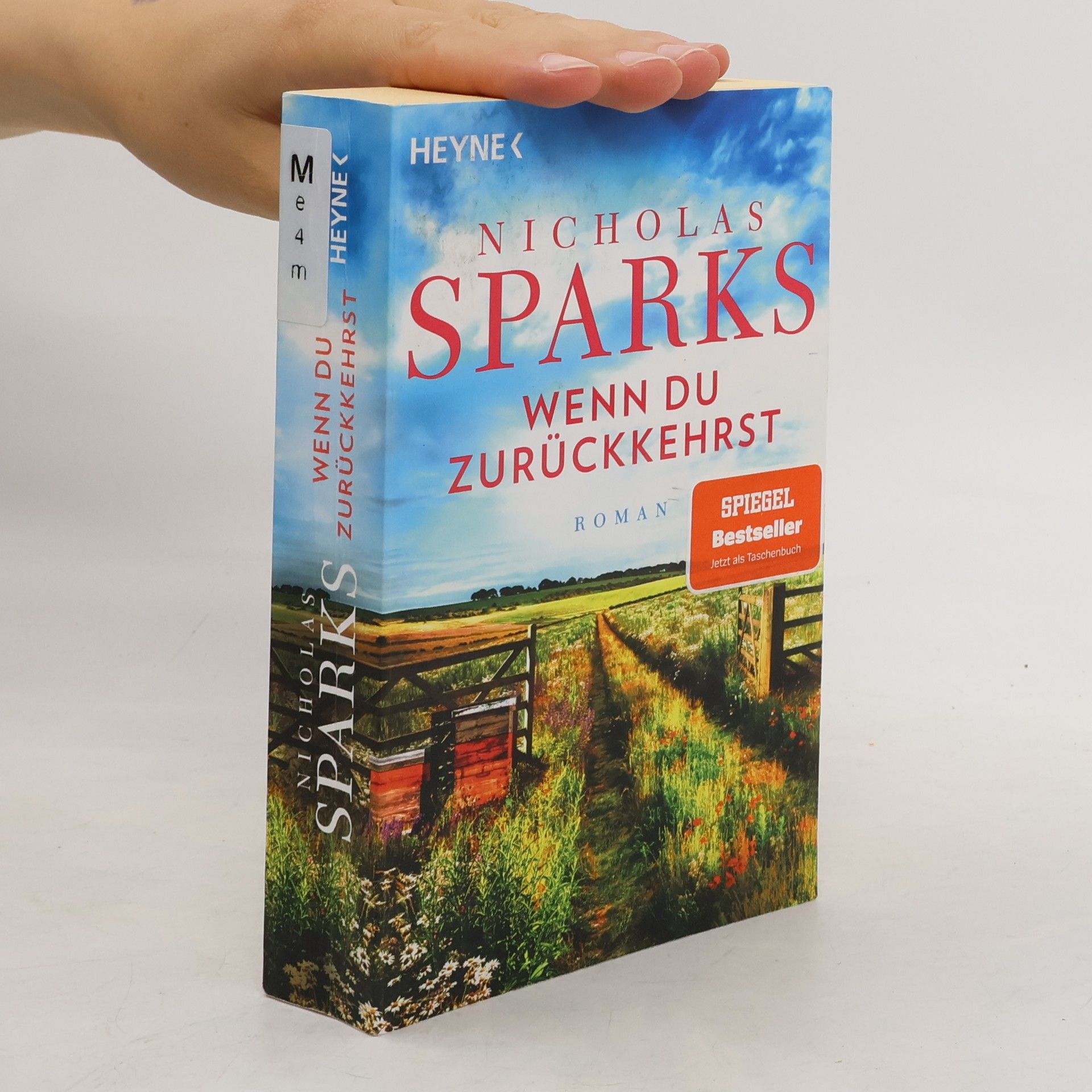 Nicholas Sparks Wenn du zurückkehrst