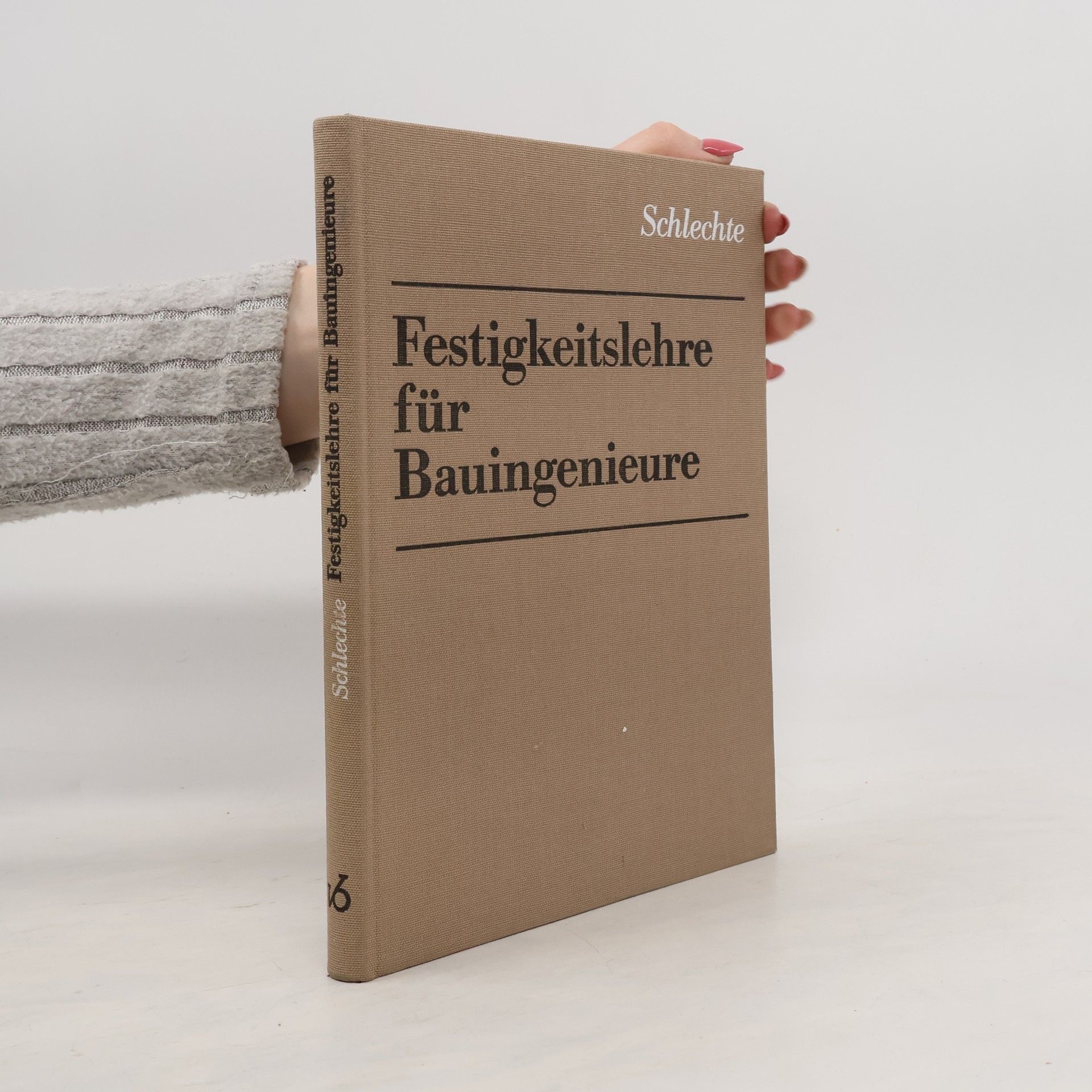 Erhard Schlechte Festigkeitslehre für Bauingenieure