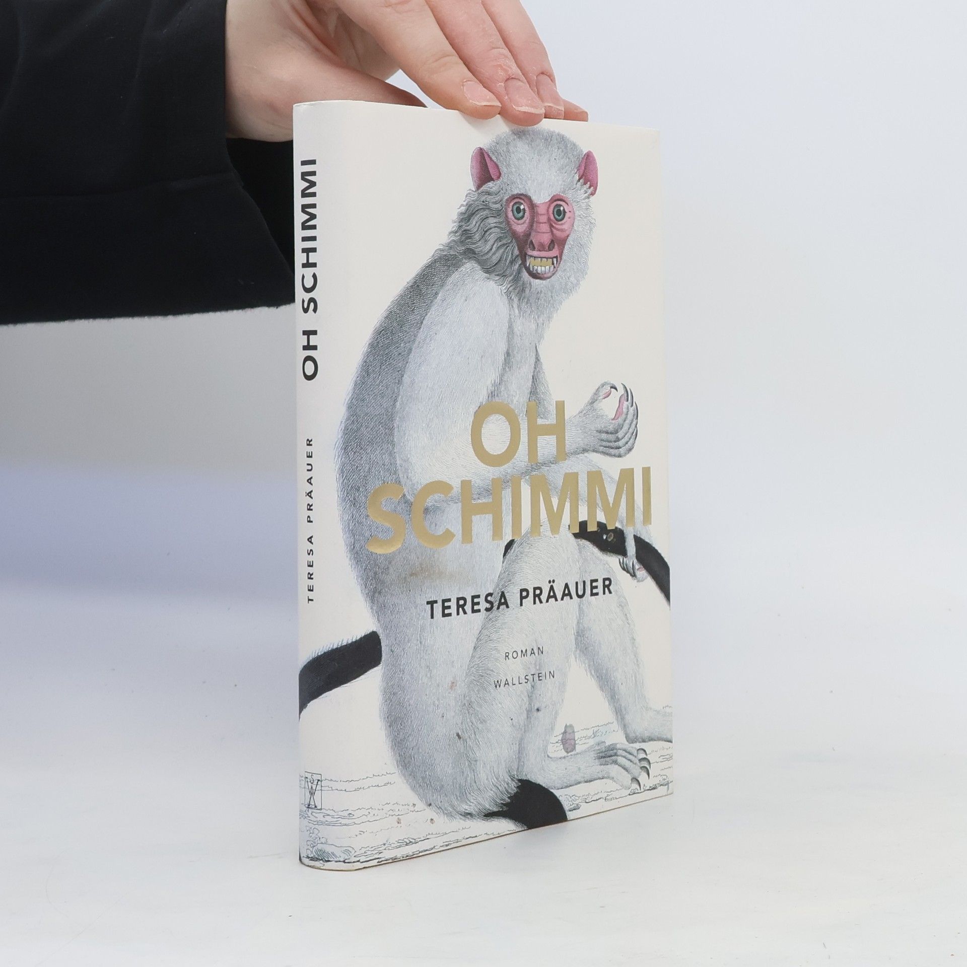 Teresa Präauer Oh Schimmi