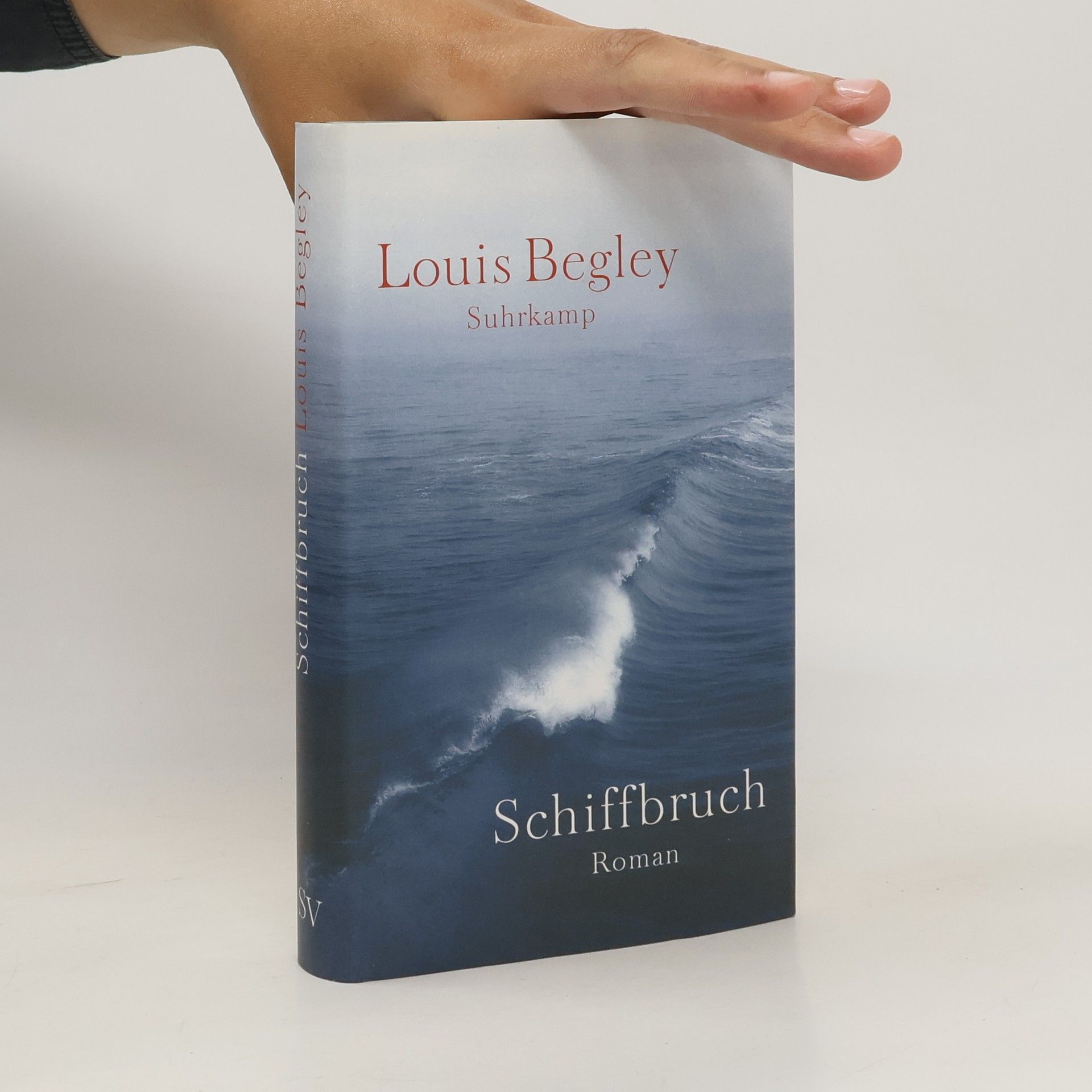 Louis Begley Schiffbruch