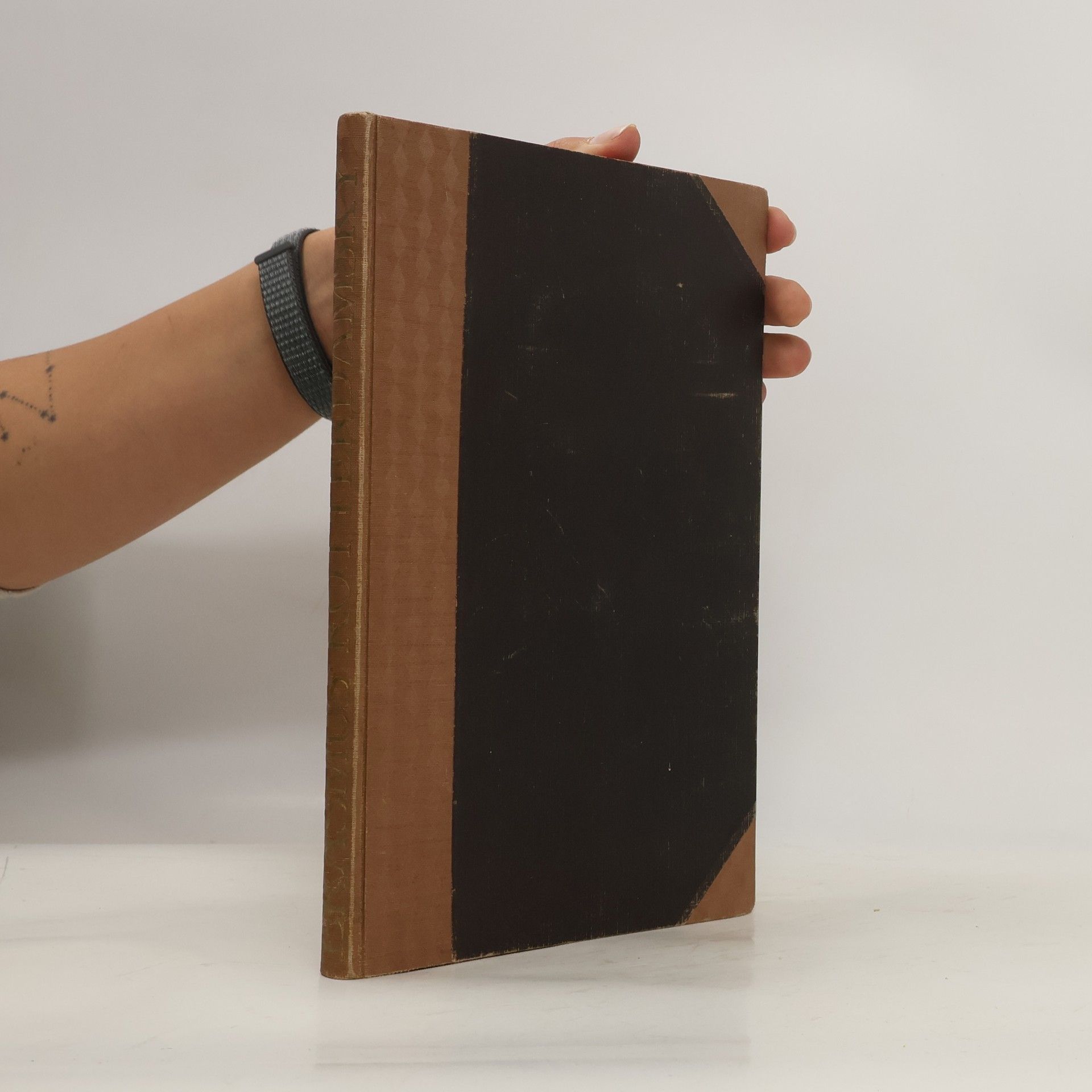 AA.VV. Hlasy dějin. Svazek 1.