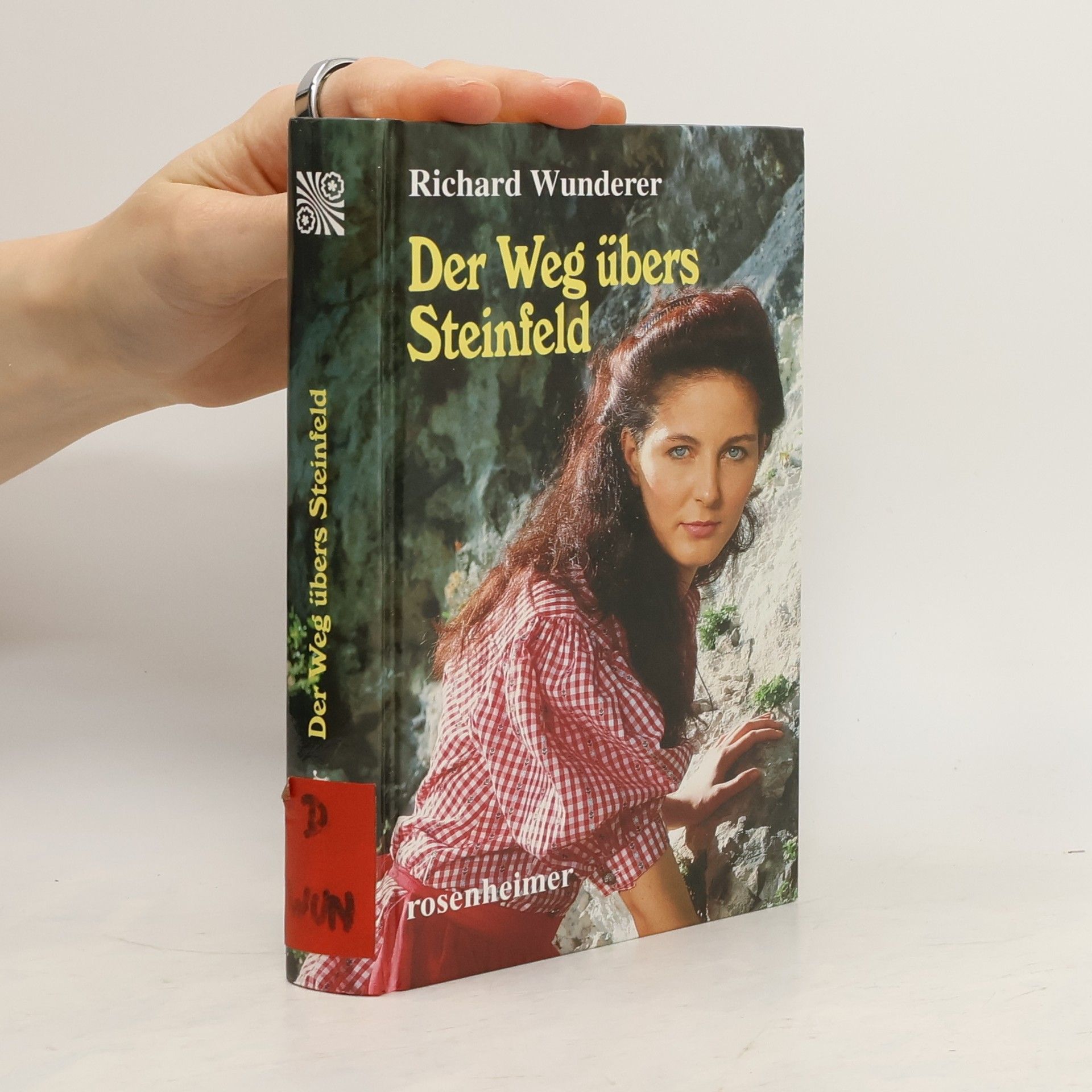 Richard Wunderer Der Weg übers Steinfeld