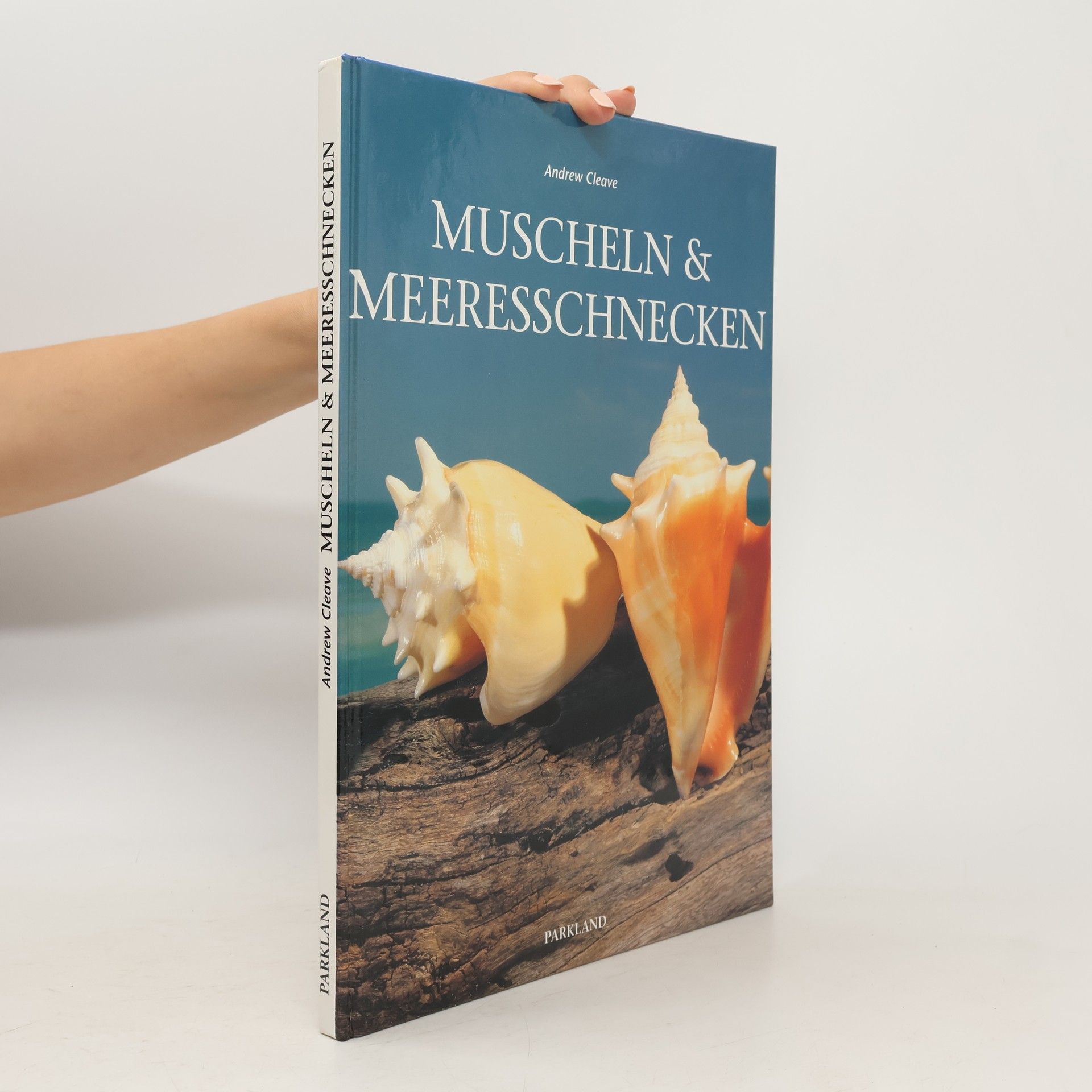 Andrew Cleave Muscheln & Meeresschnecken
