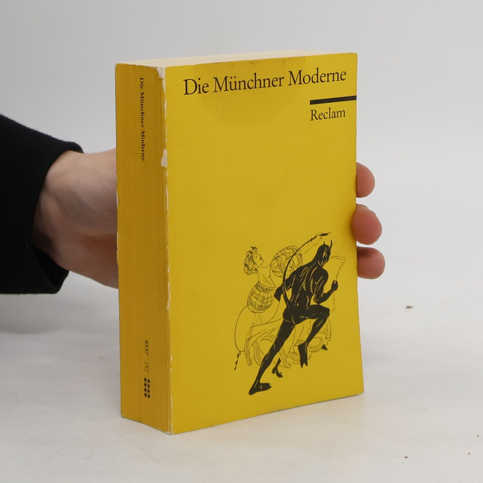 Kolektiv autorů Die Müncher Moderne