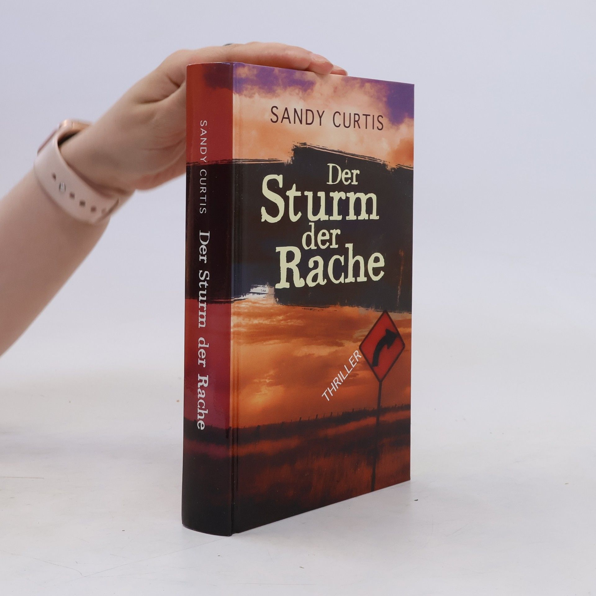Sandy Curtis Der Sturm der Rache