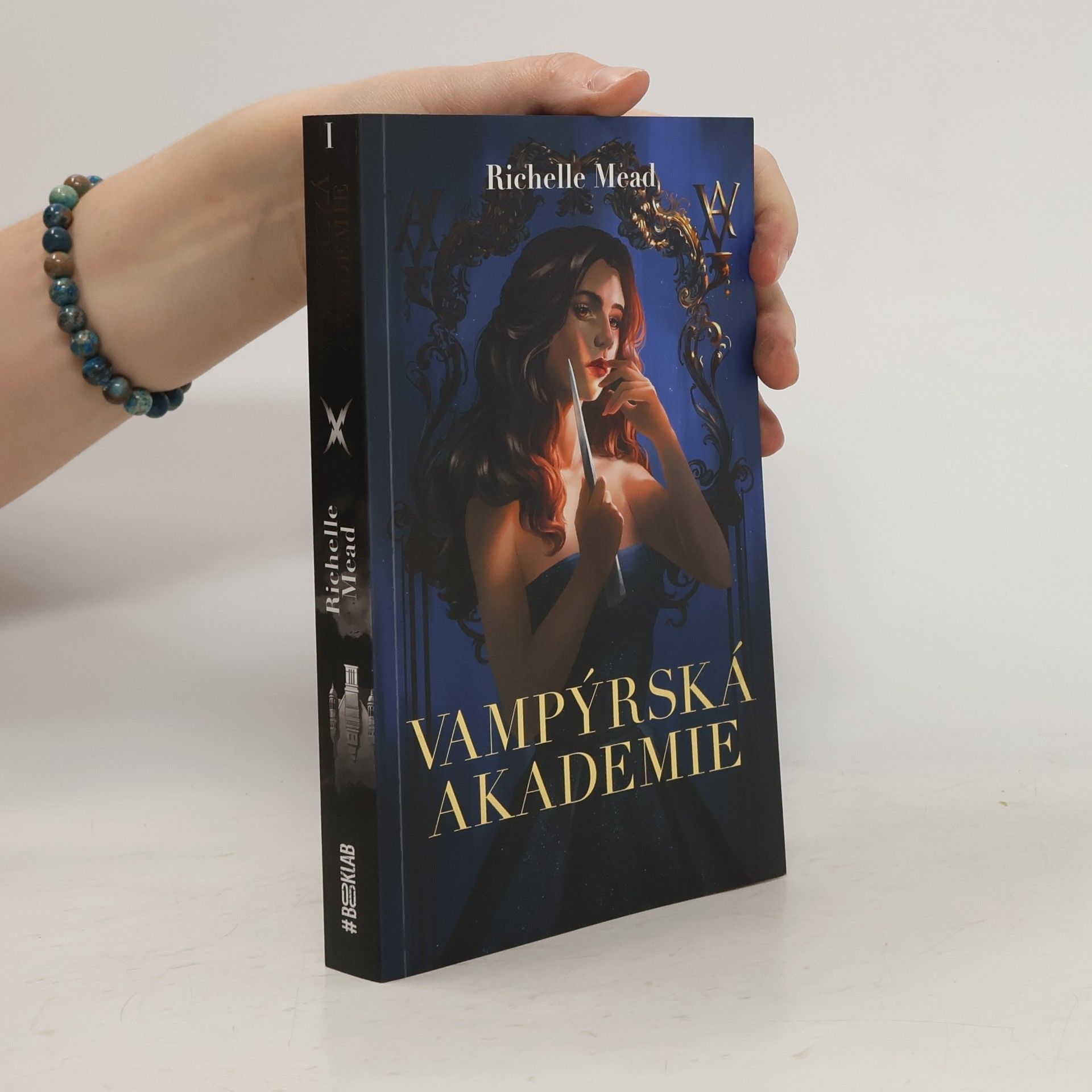 Richelle Mead Vampýrská akademie