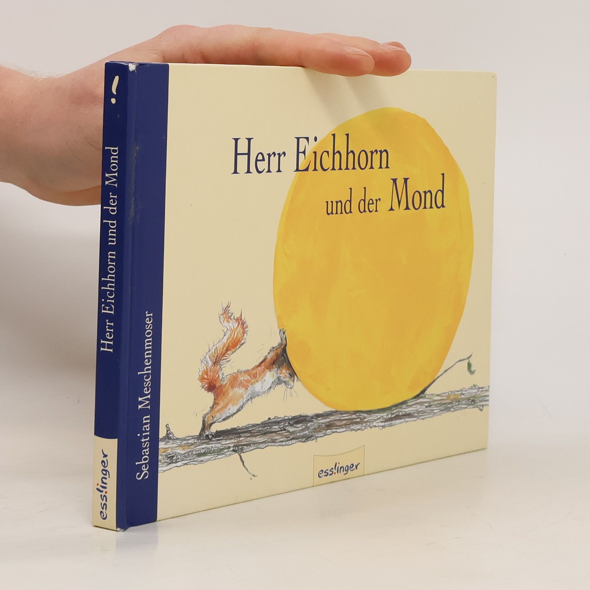 Sebastian Meschenmoser Herr Eichhorn und der Mond