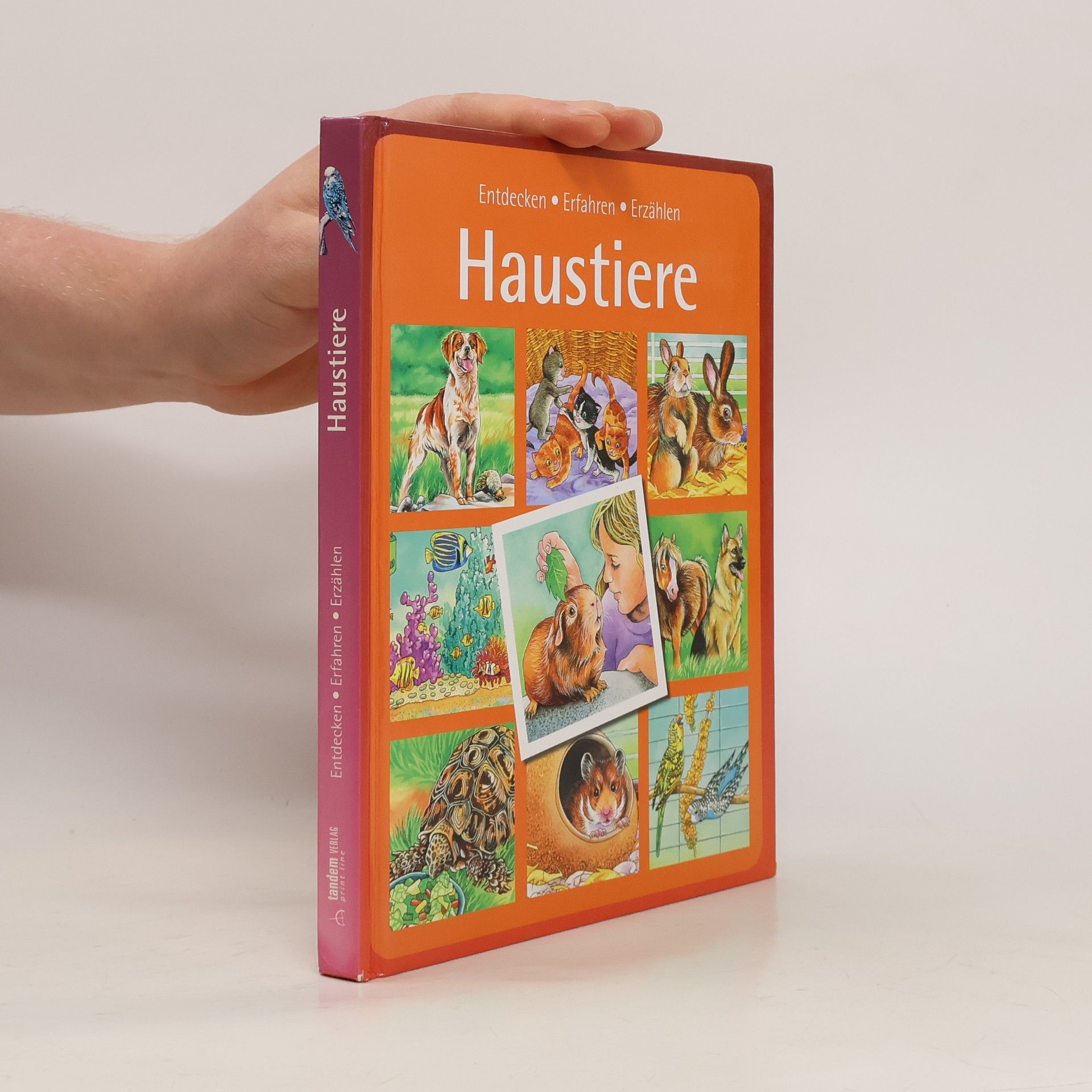 Autorenkollektiv Haustiere