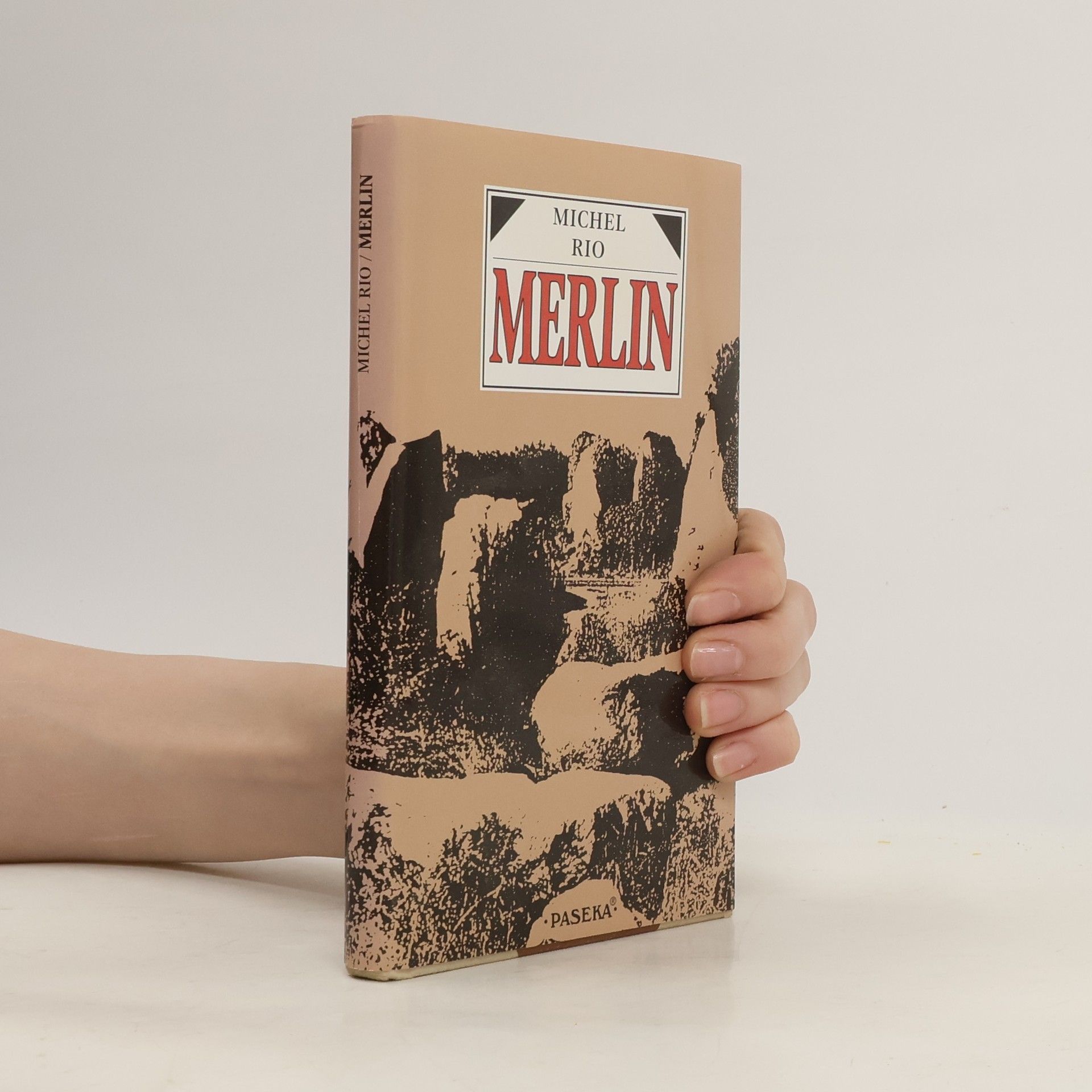Michel Rio Merlin