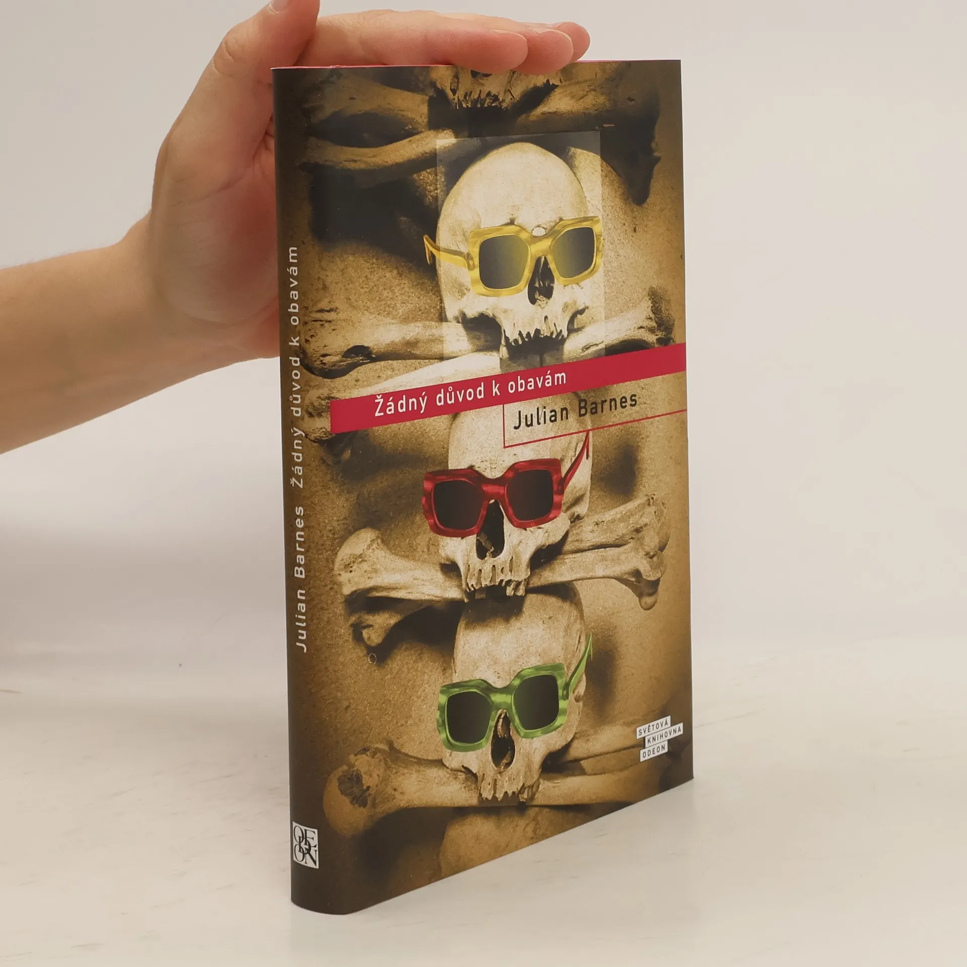 Žádný důvod k obavám | Book | Julian Barnes | CS
