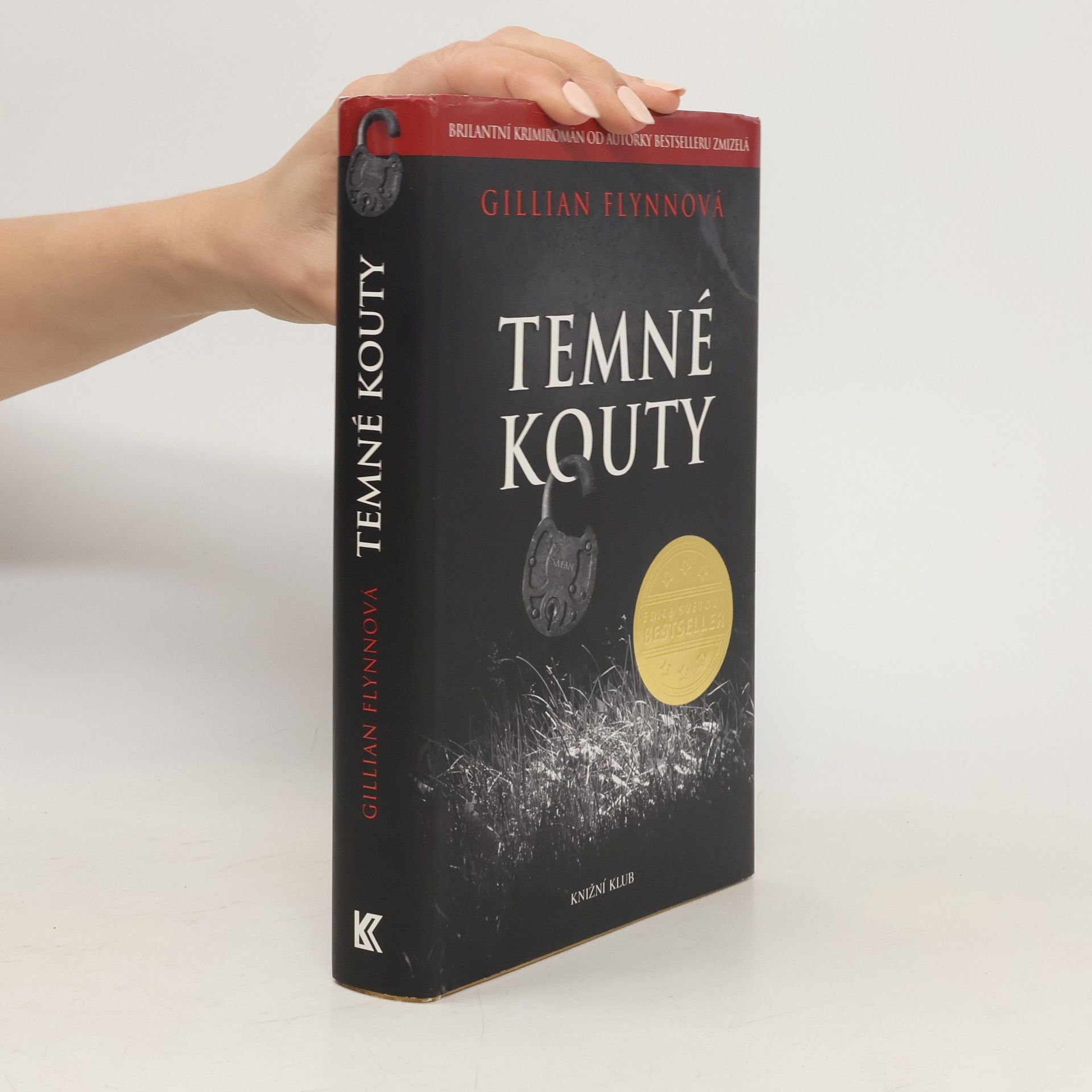 Gillian Flynn Temné kouty