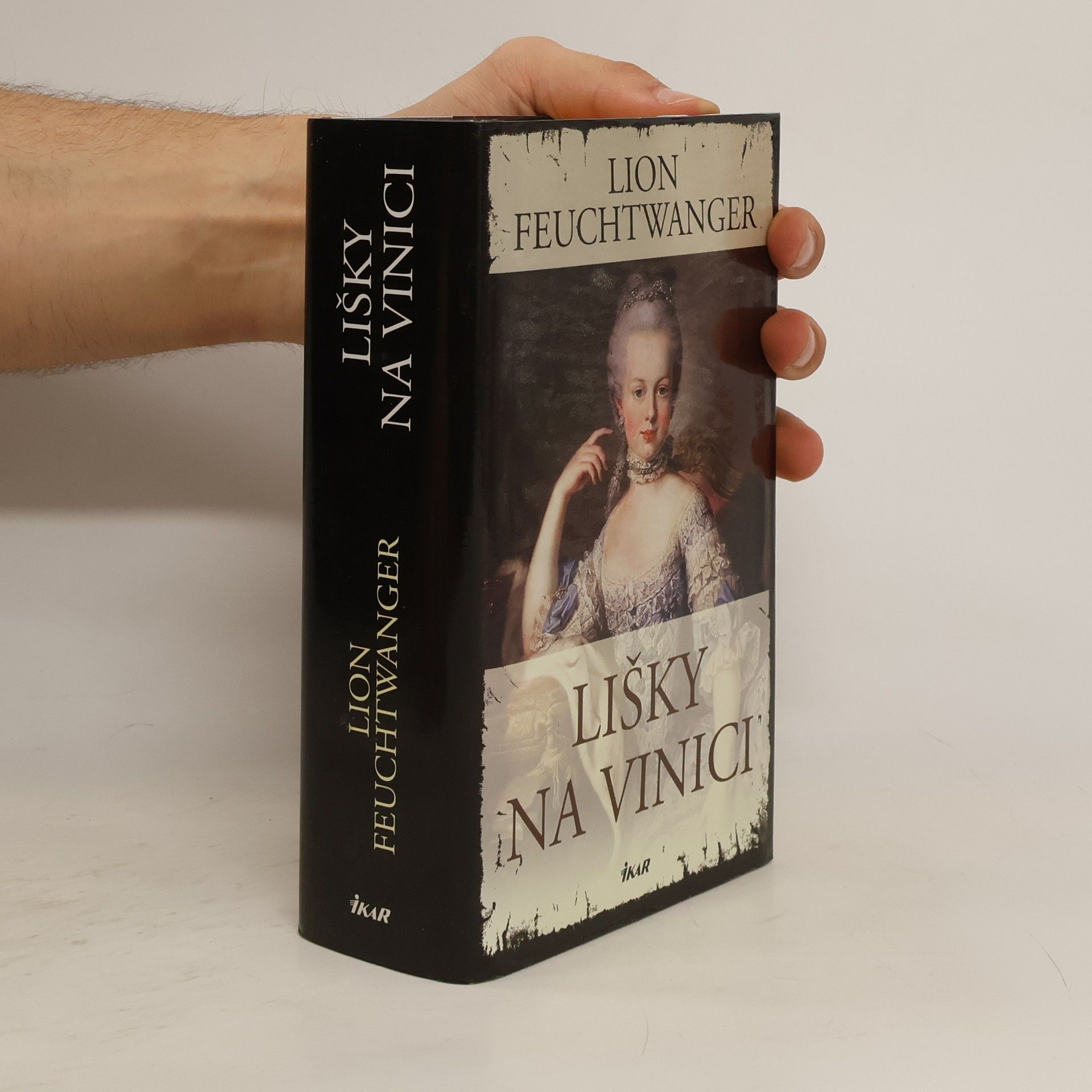 Lion Feuchtwanger Lišky na vinici