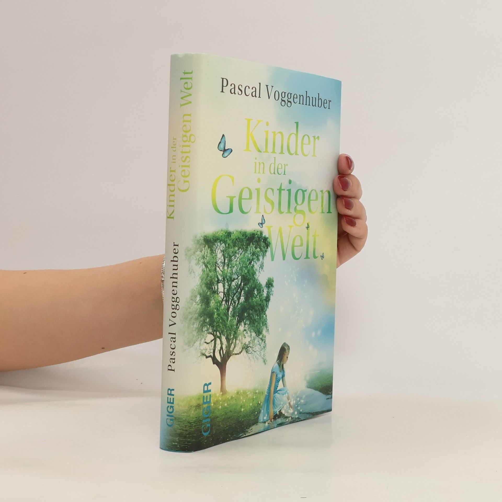 Pascal Voggenhuber Kinder in der Geistigen Welt