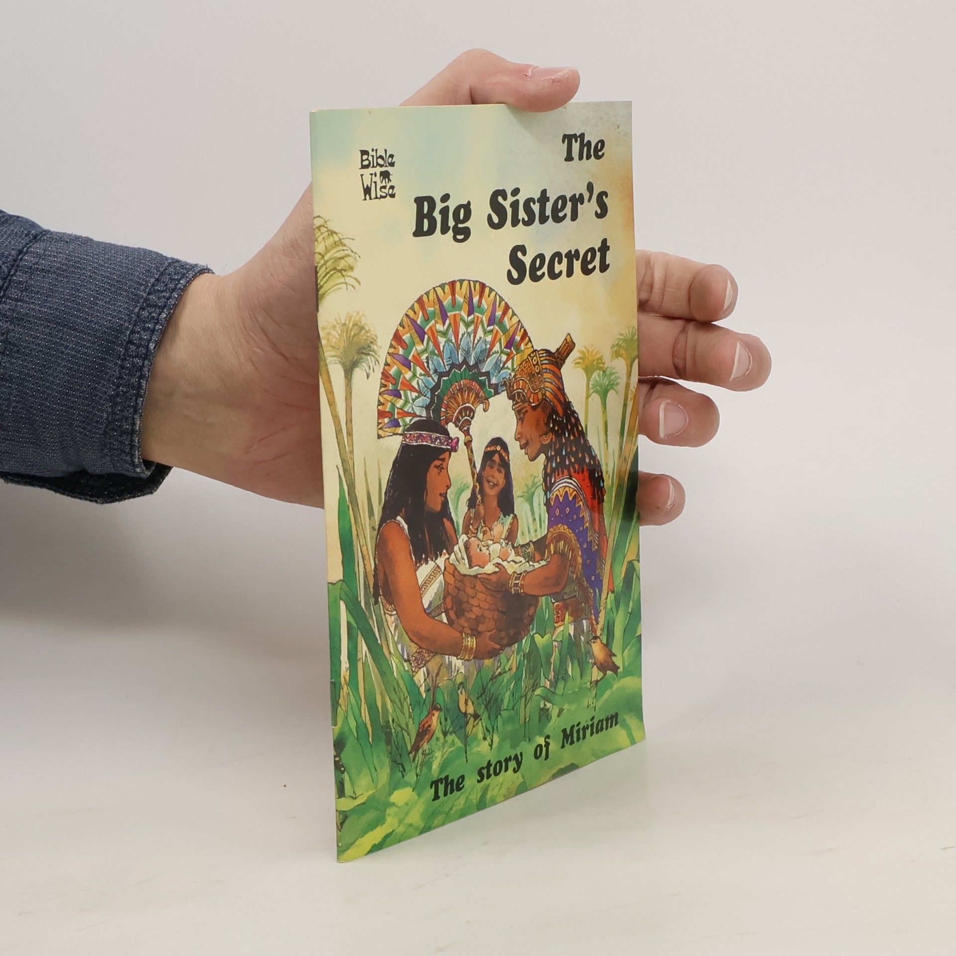 Carine MacKenzie The Big Sister's Secret