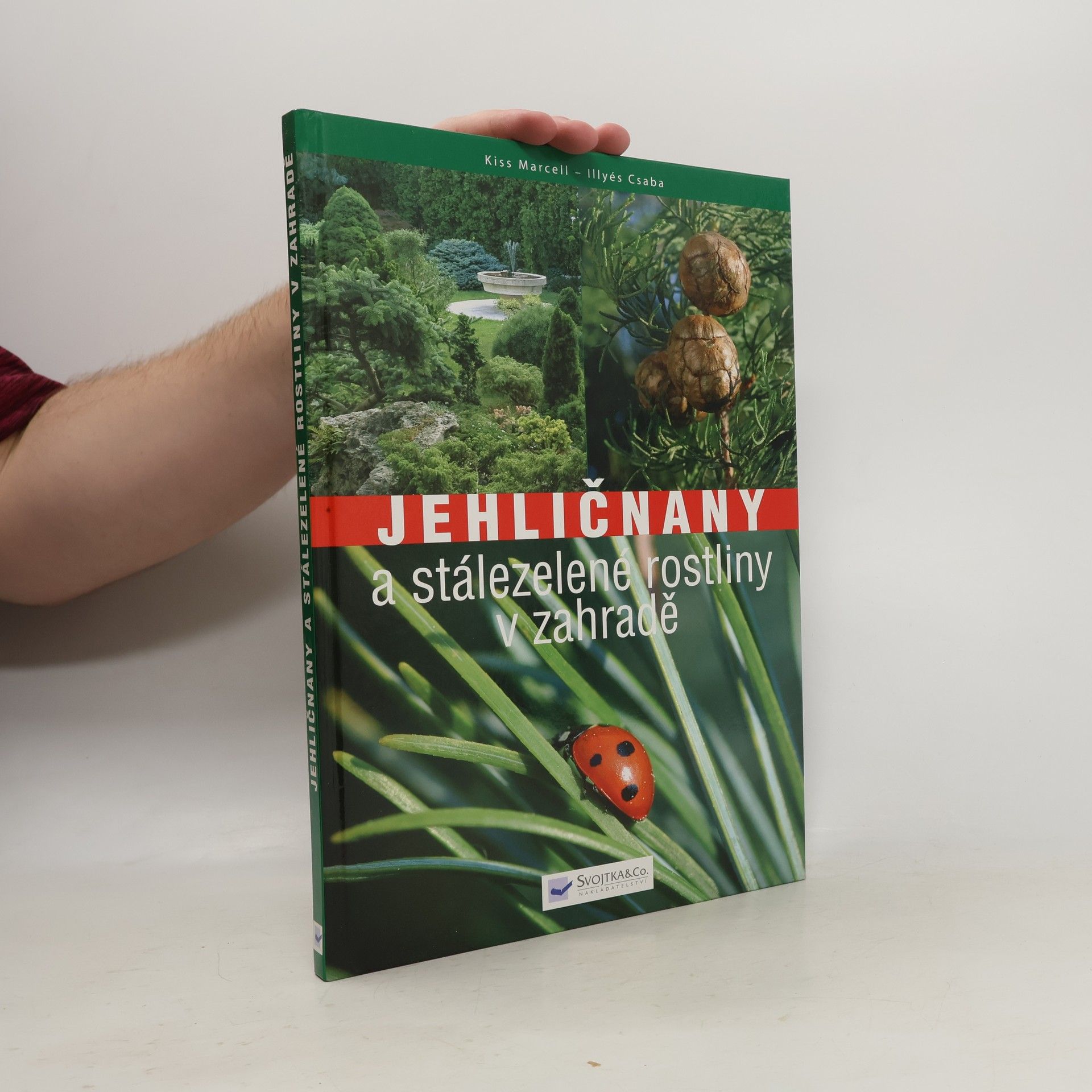 Marcell Kiss Jehličnany a stálezelené rostliny v zahradě