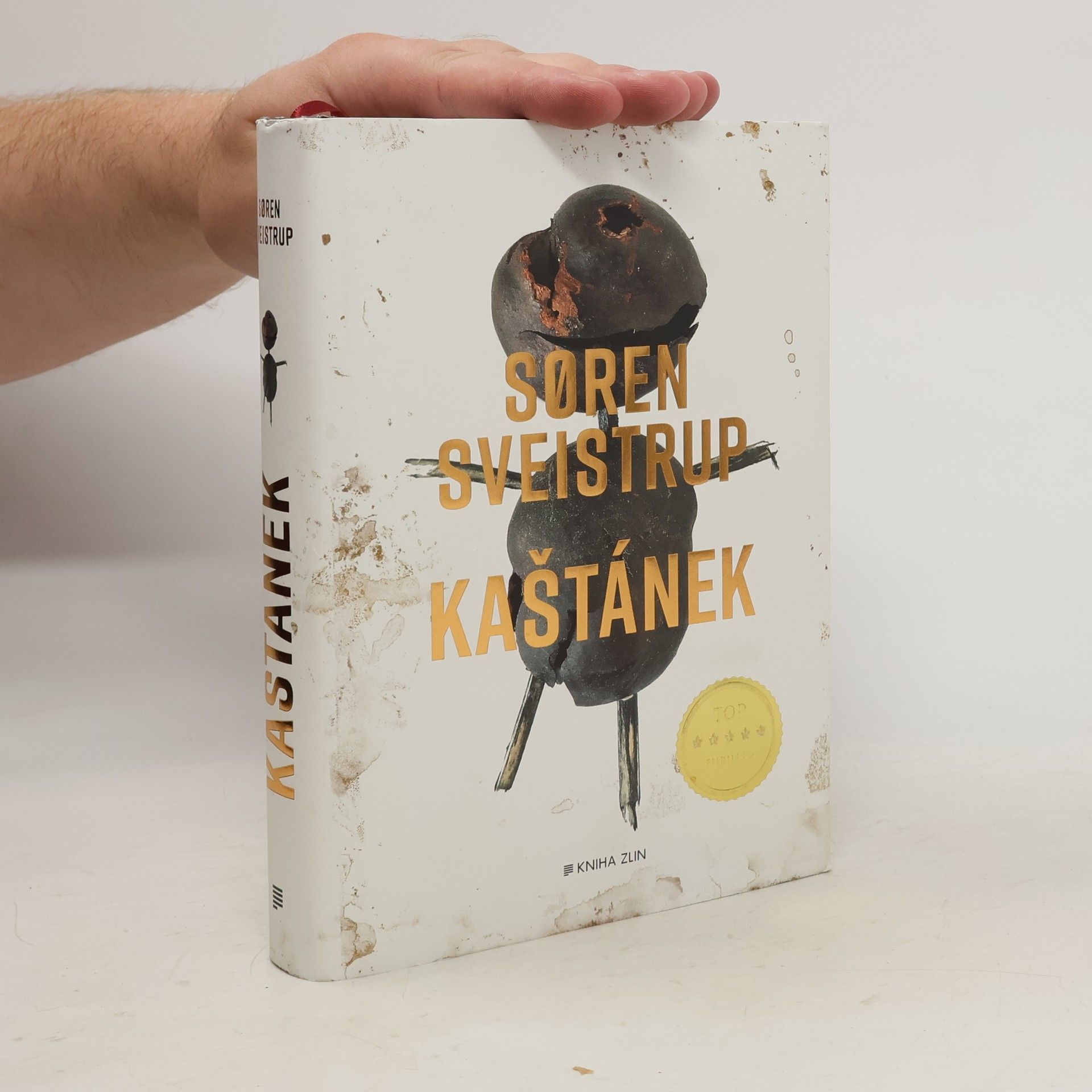 Søren Sveistrup Kaštánek