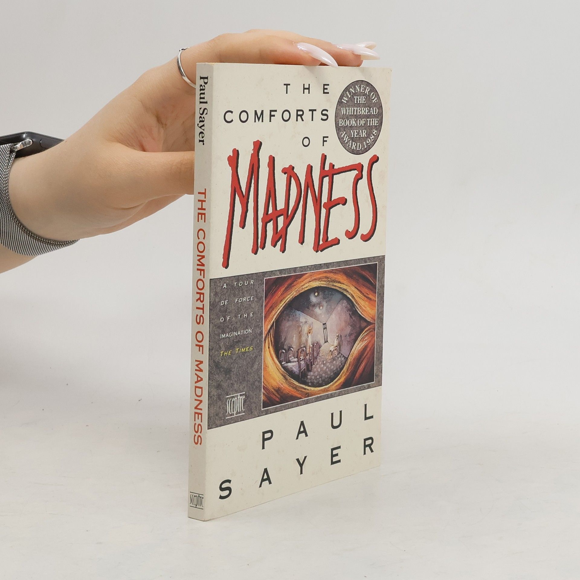 Paul Sayer The Comforts of Madness