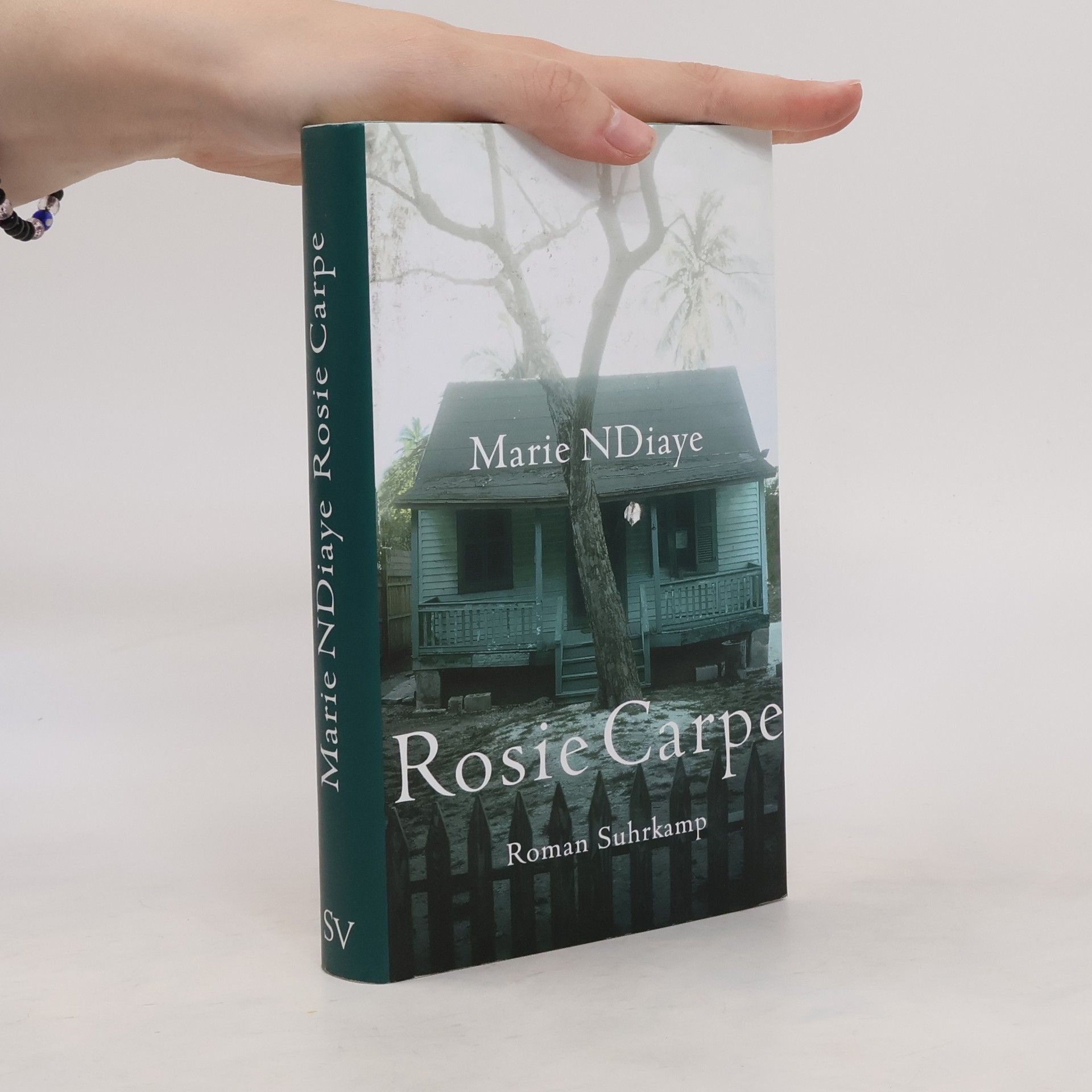 Marie NDiaye Rosie Carpe