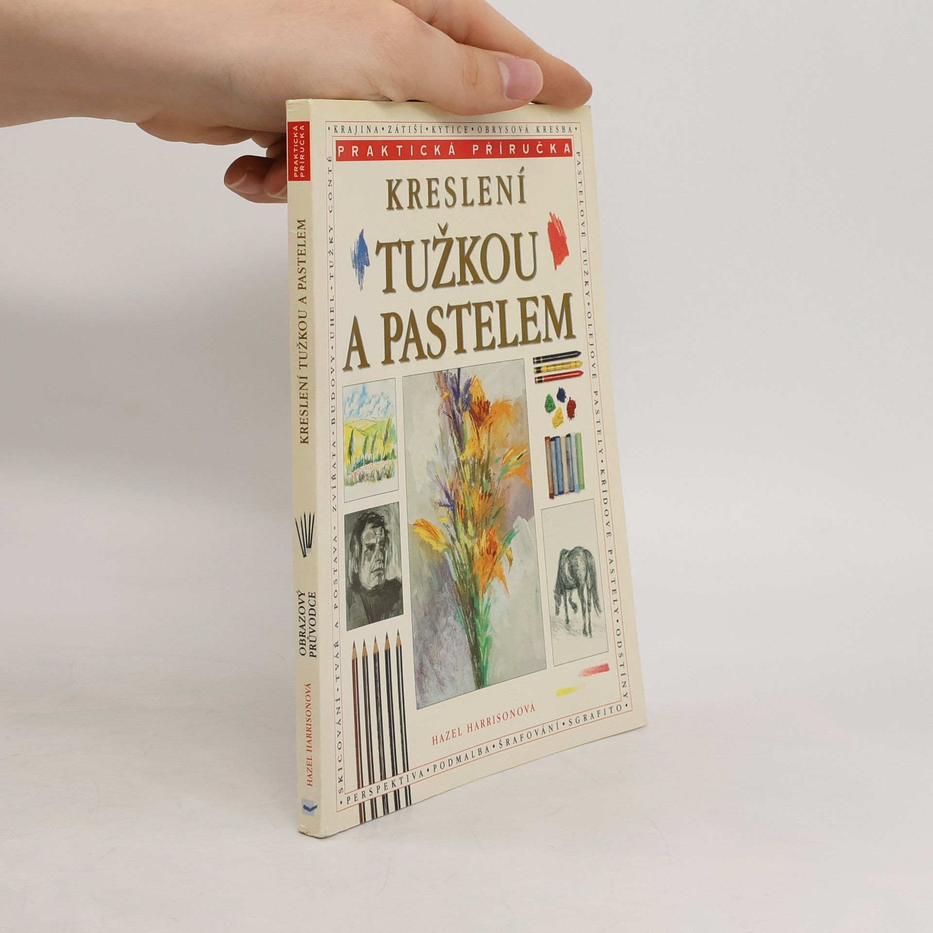 Hazel Harrison Kreslení tužkou a pastelem