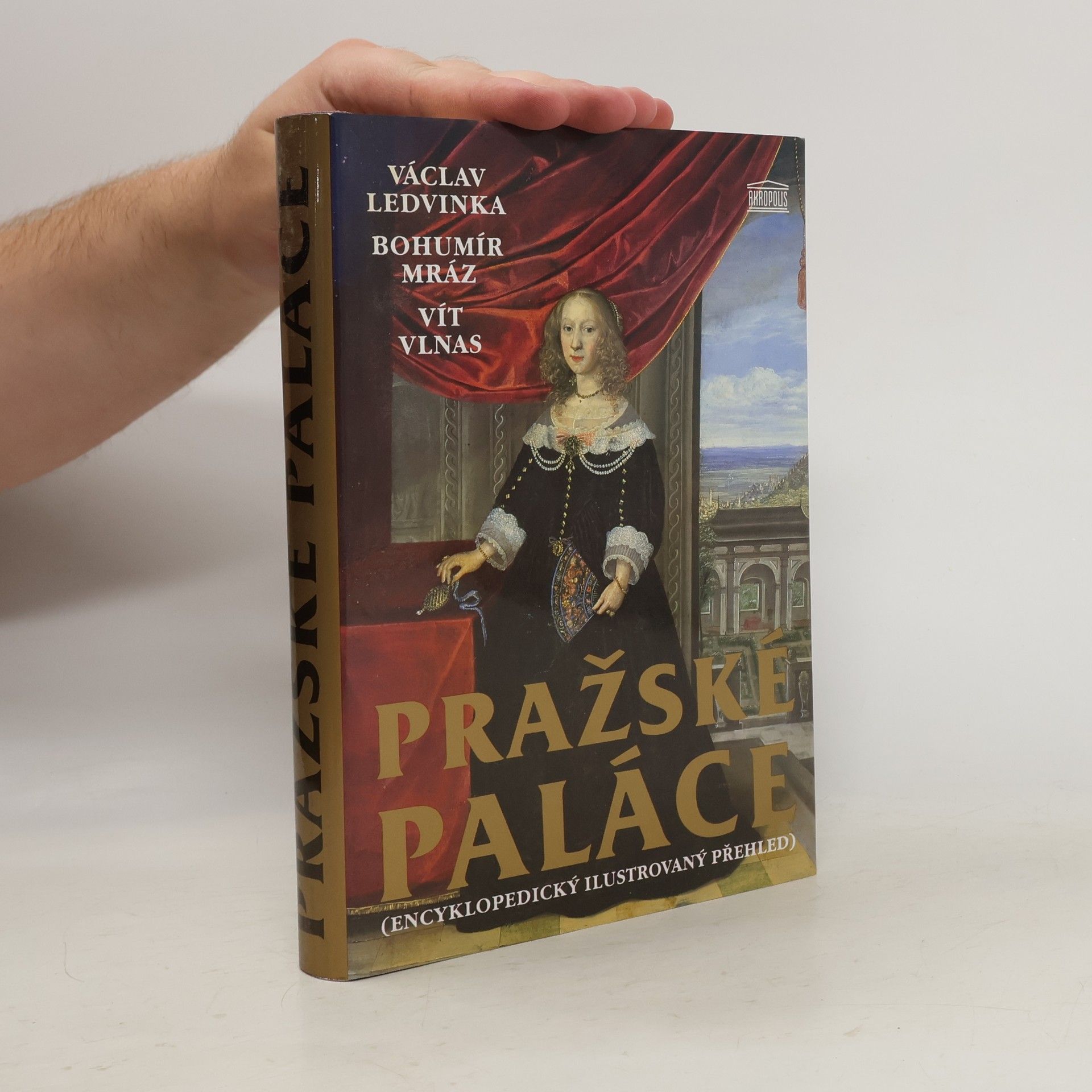 Václav Ledvinka Pražské paláce