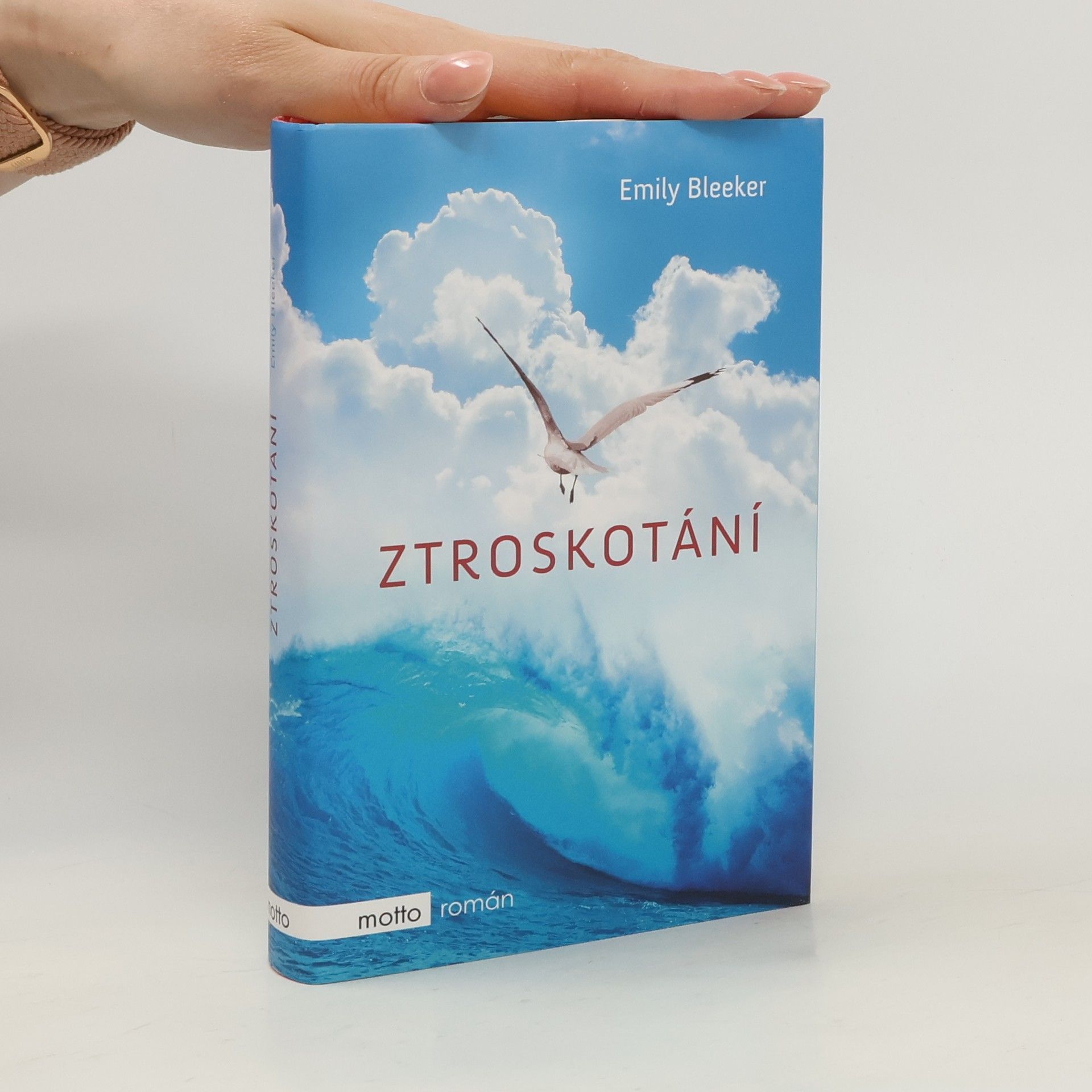 Emily Bleeker Ztroskotání