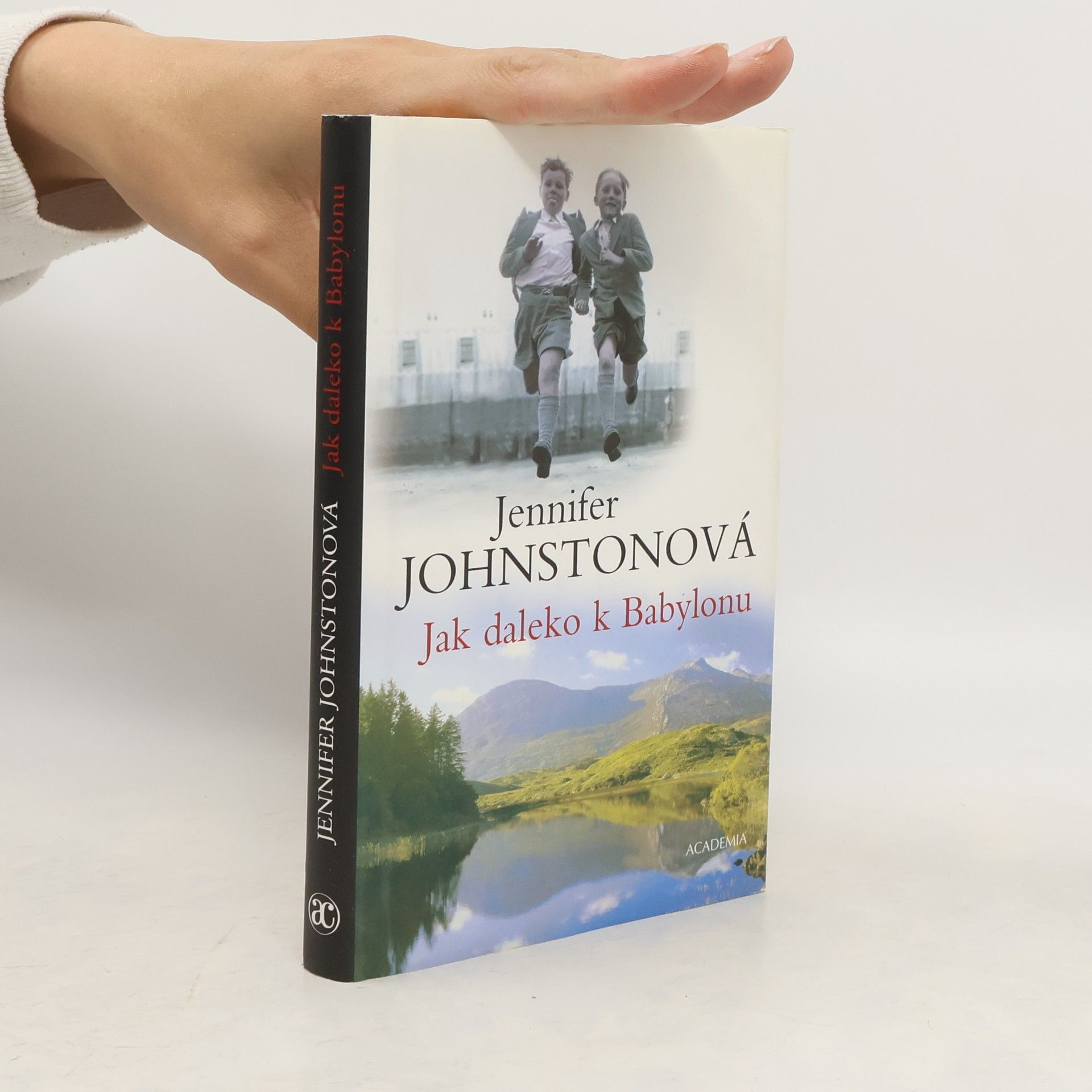 Jennifer Johnston Jak daleko k Babylonu