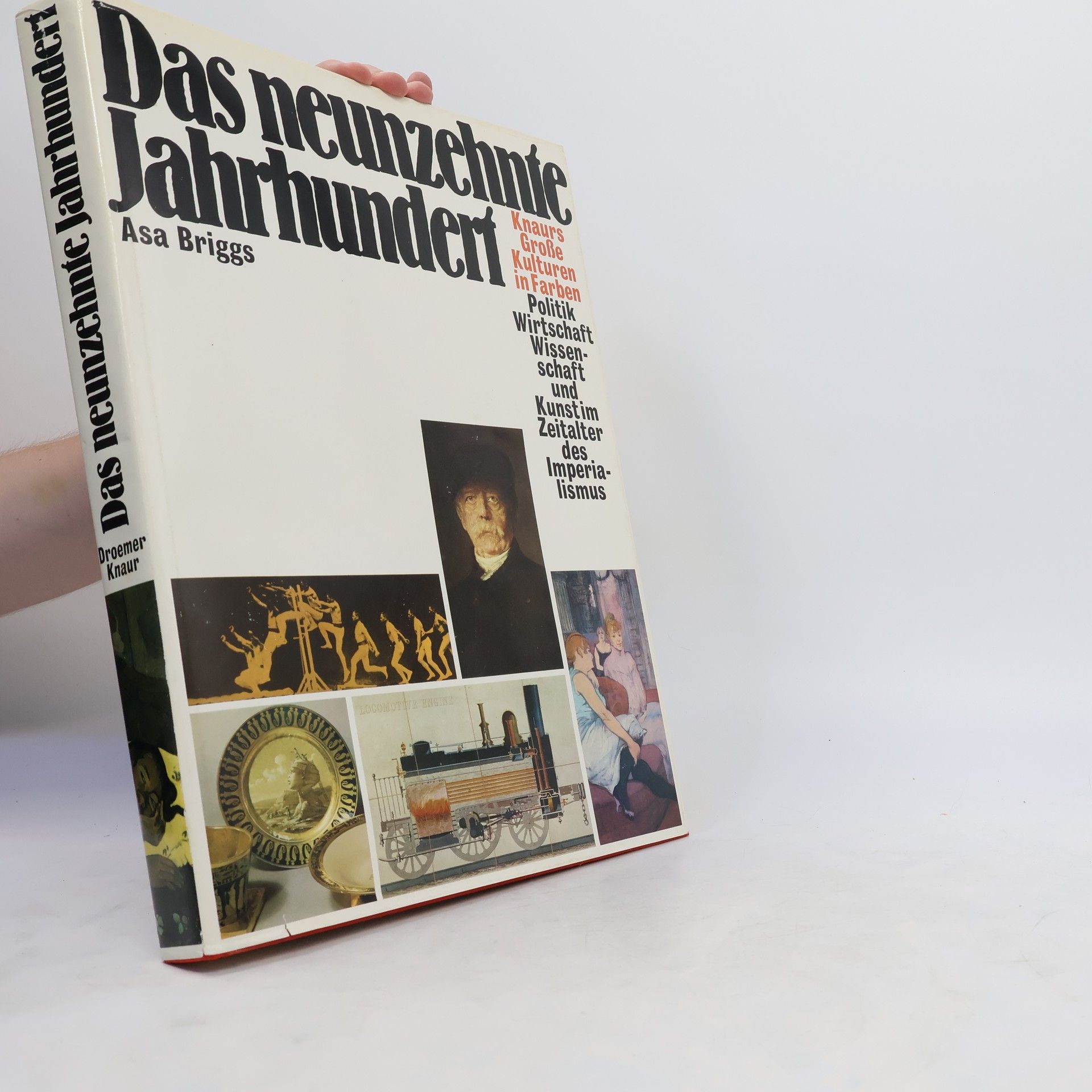 Asa Briggs Das neunzehnte Jahrhundert