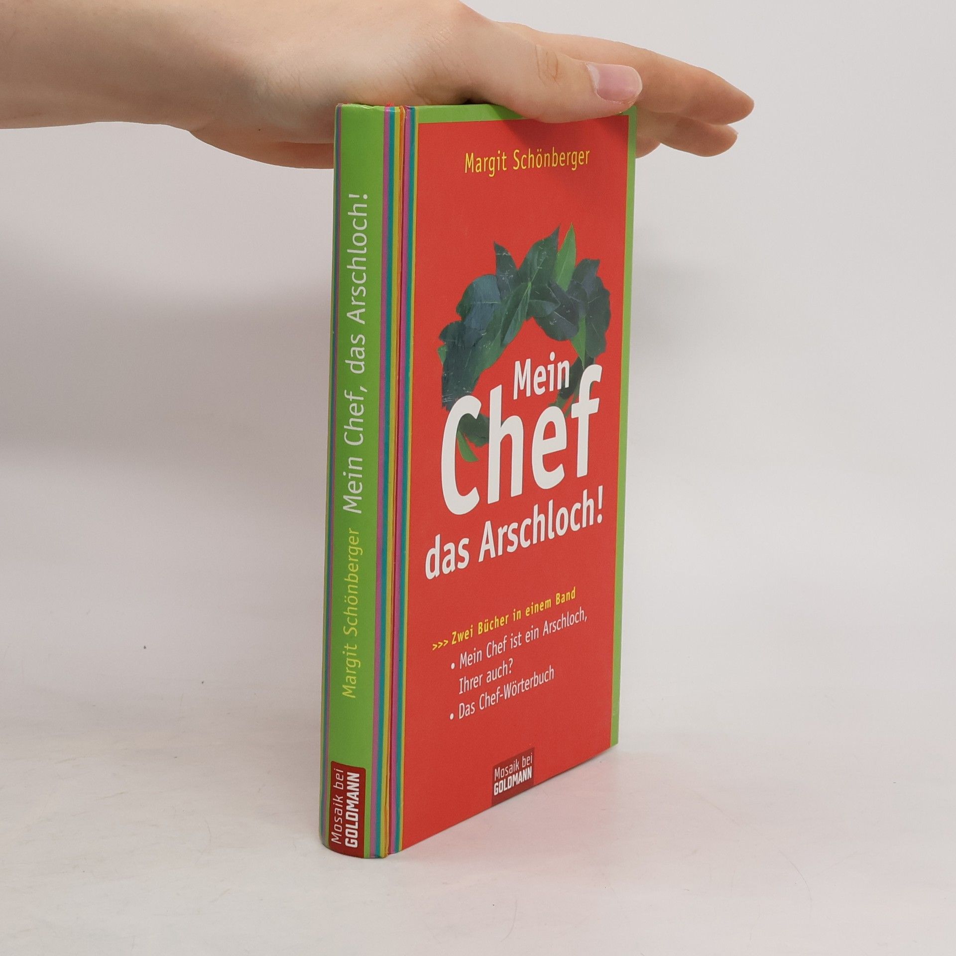 Margit Schönberger Mein Chef, das Arschloch!