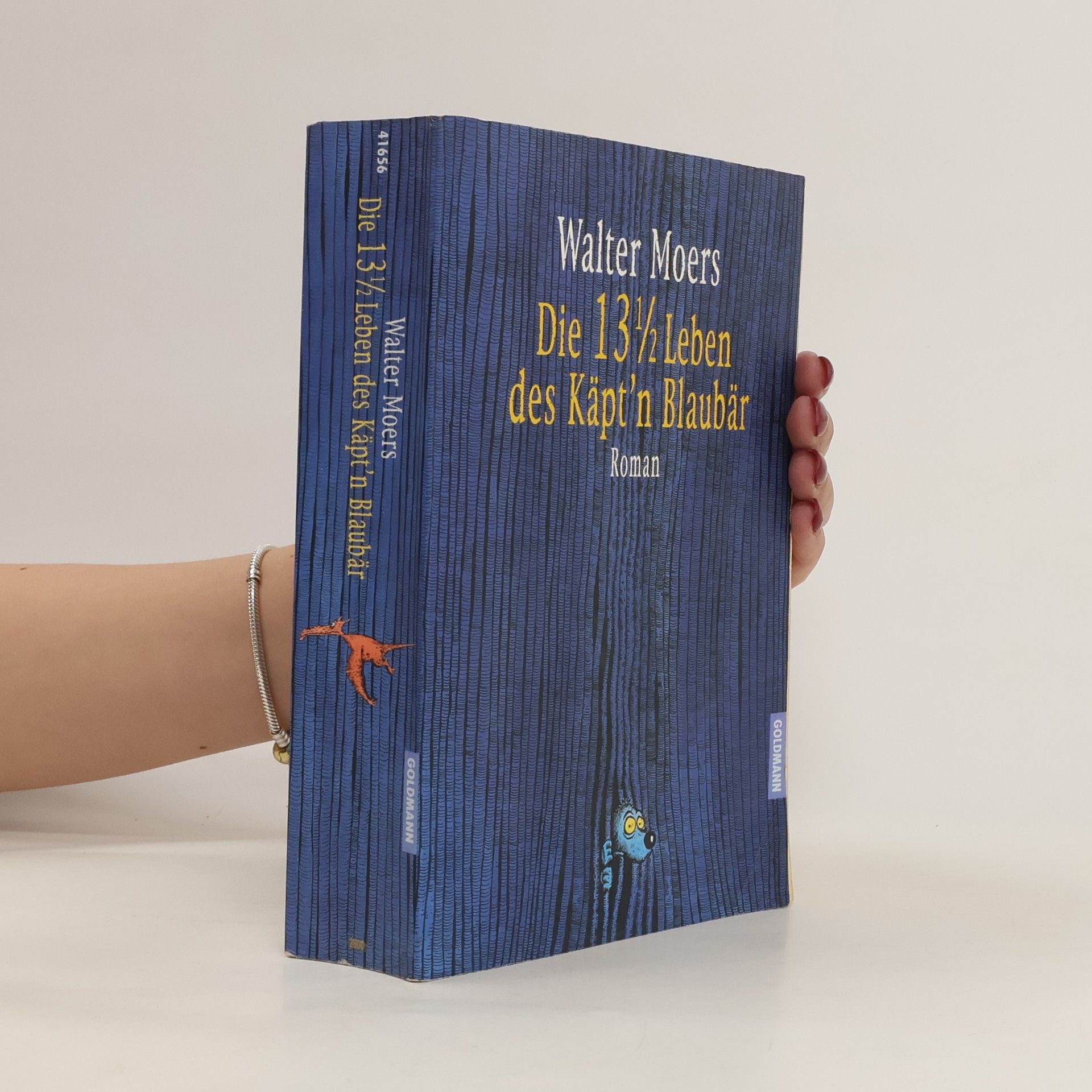 Walter Moers Die 13 1/2 Leben des Käpt’n Blaubär