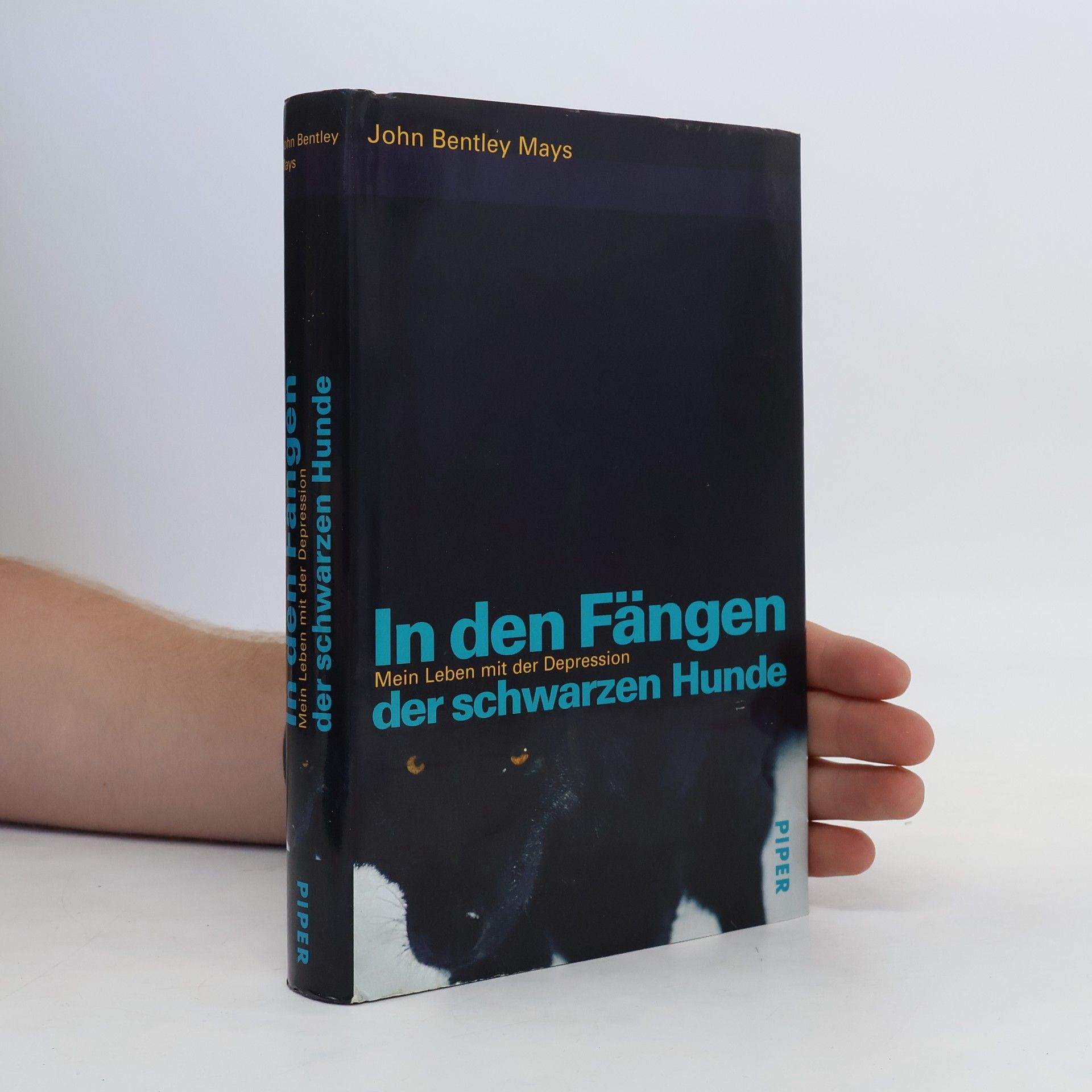 John Bentley Mays In den Fängen der schwarzen Hunde