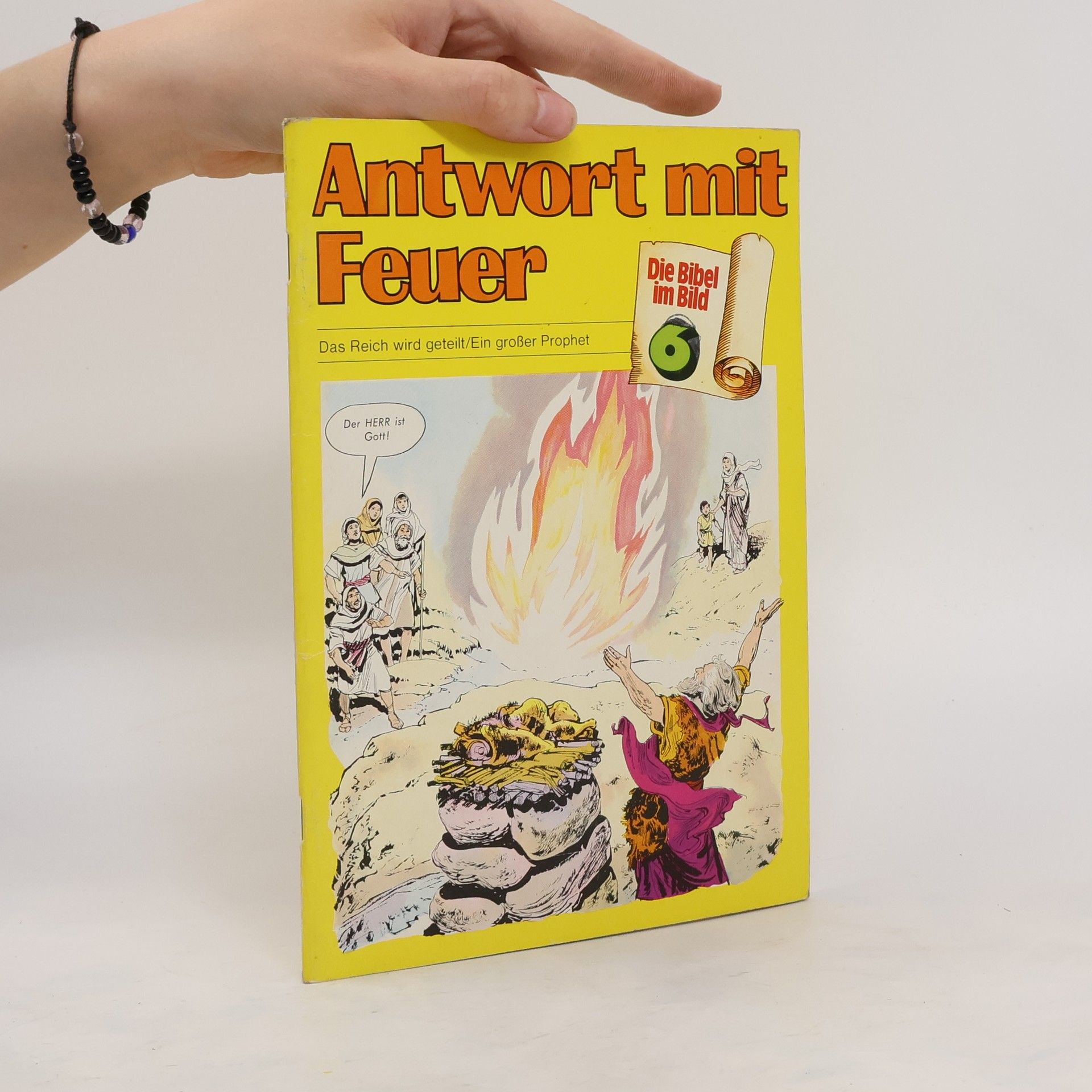 Autorenkollektiv Die Bibel im Bild