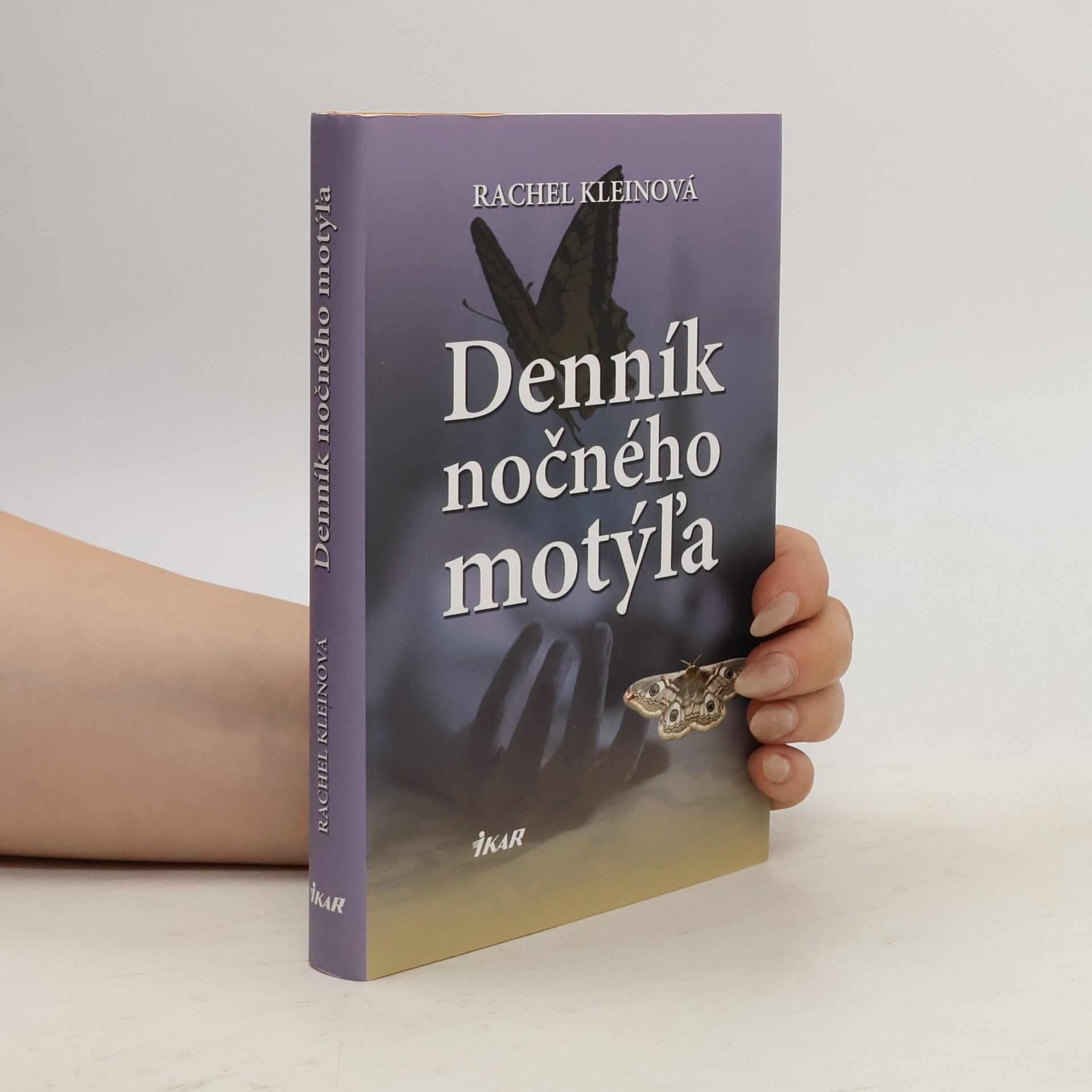 Rachel Klein Denník nočného motýľa