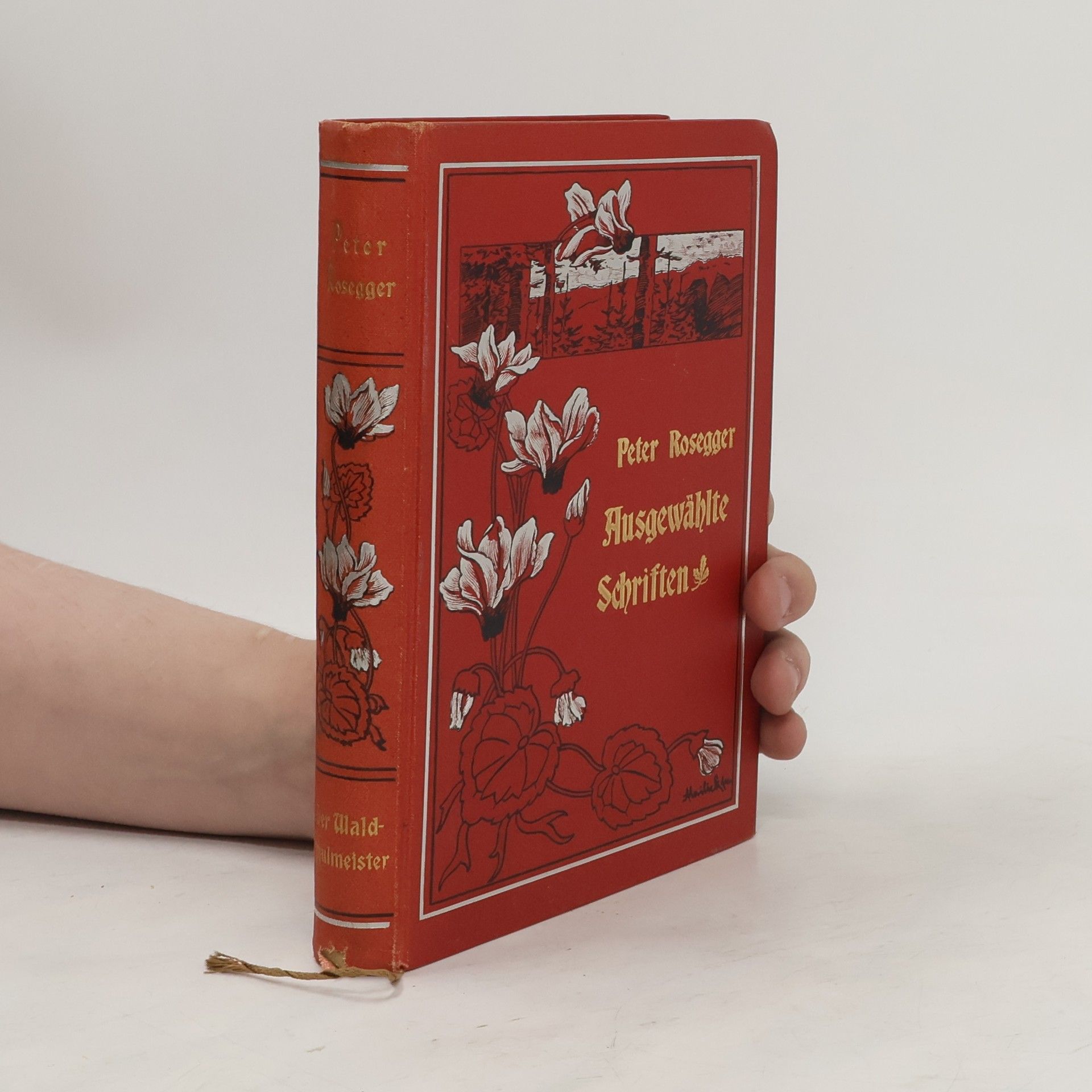Peter Rosegger Die Schriften des Waldschulmeisters