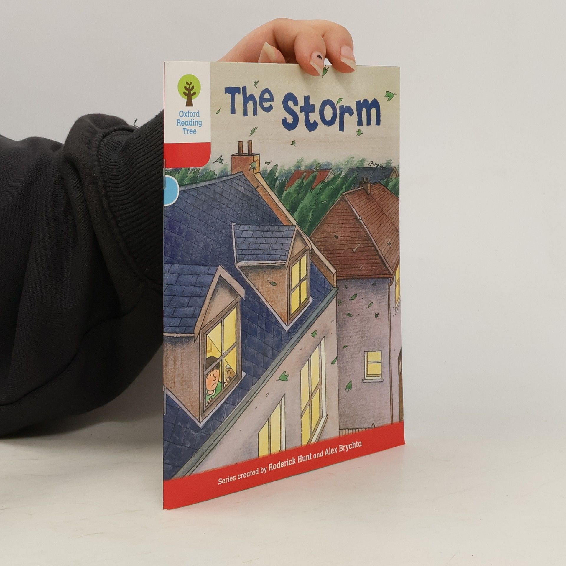 Roderick Hunt Oxford Reading Tree: Level 4: Stories: The Storm