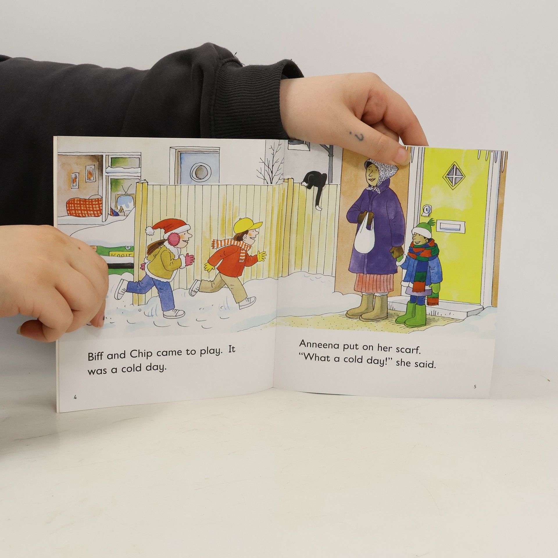 Roderick Hunt Oxford Reading Tree: Level 4: More Stories B: The Scarf