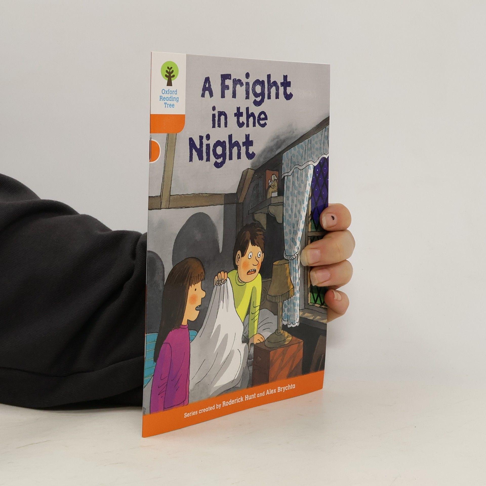 Roderick Hunt Oxford Reading Tree: Level 6: More Stories A: A Fright in the Night