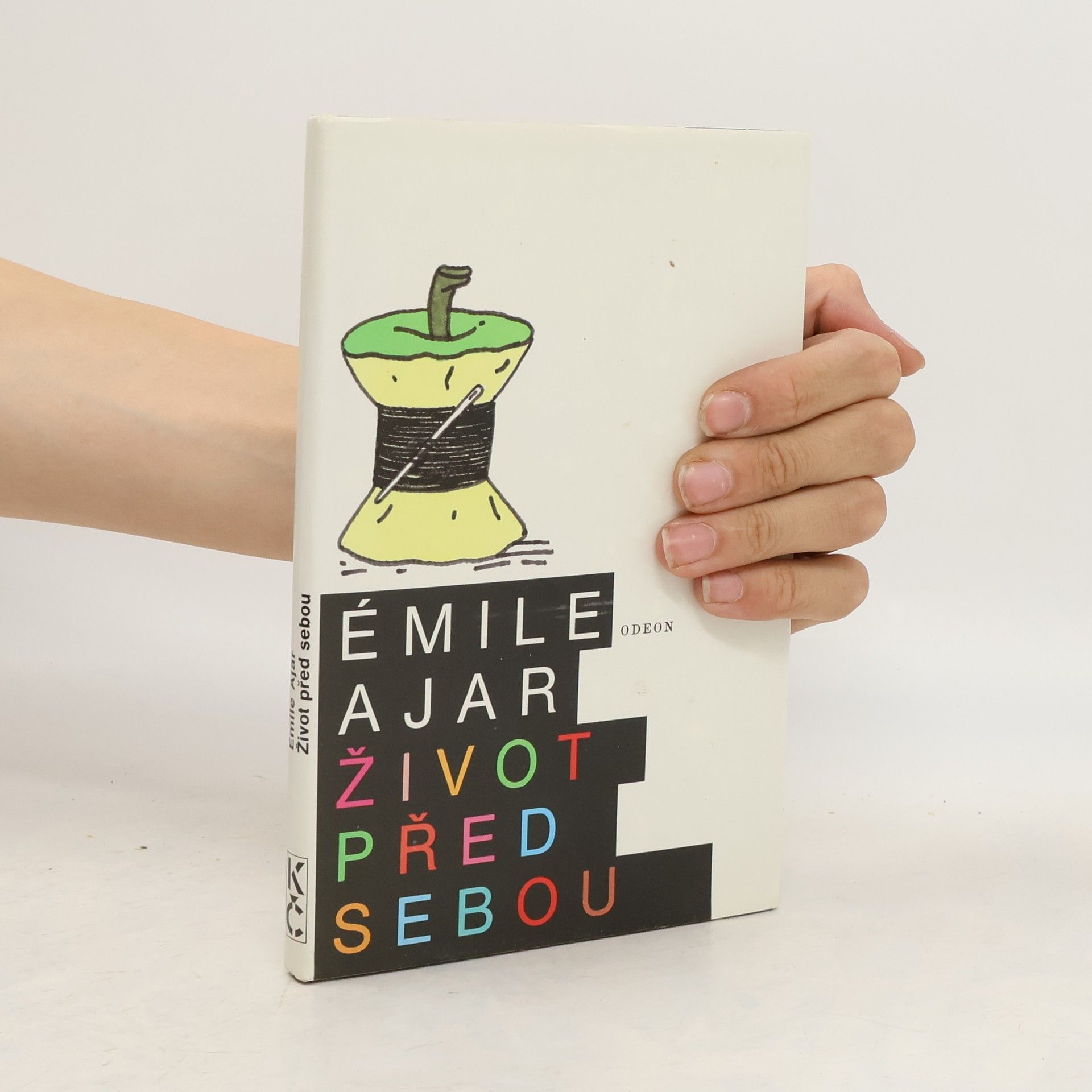 Romain Gary Život před sebou